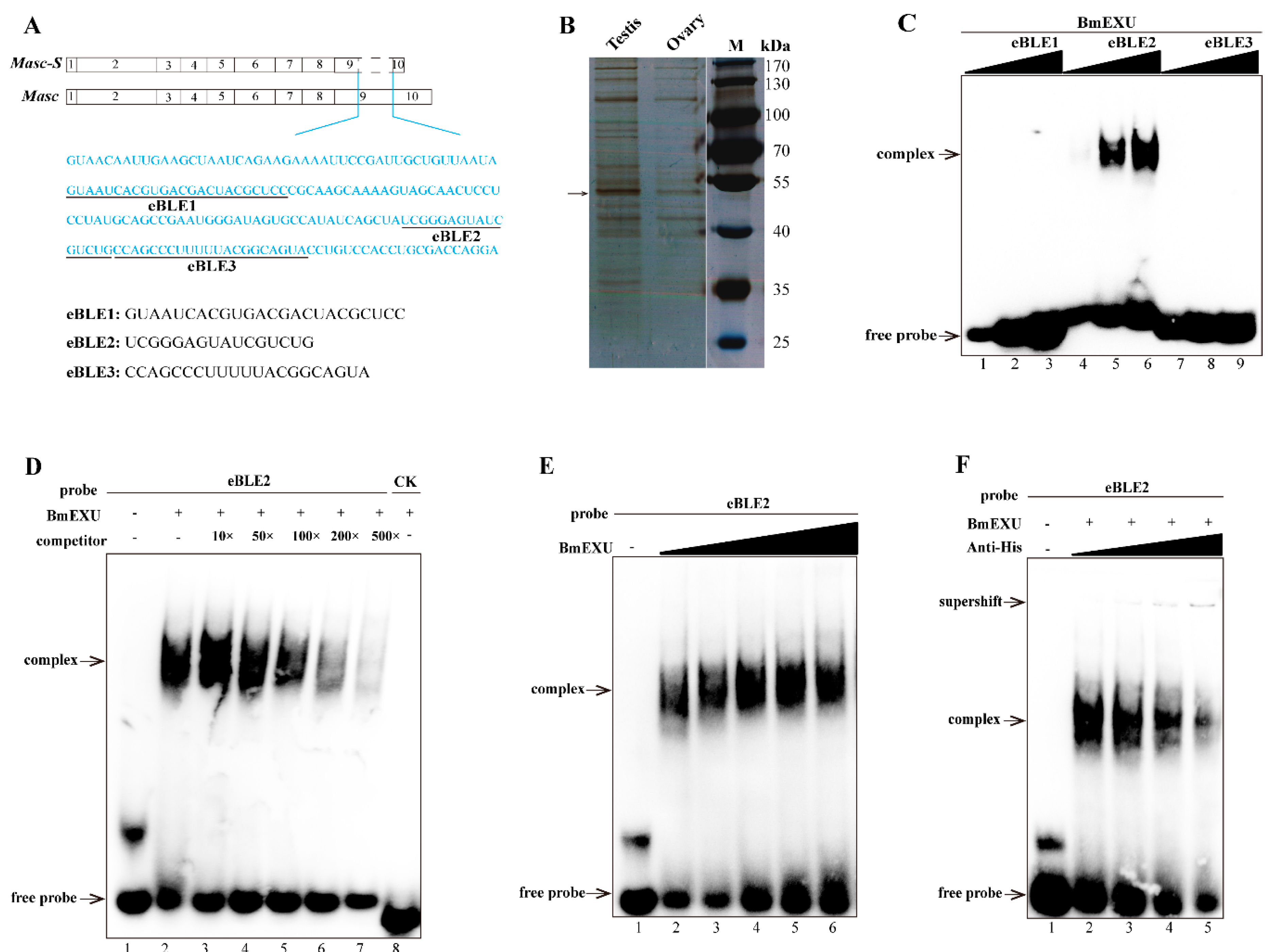 Biomolecules 09 00318 g004