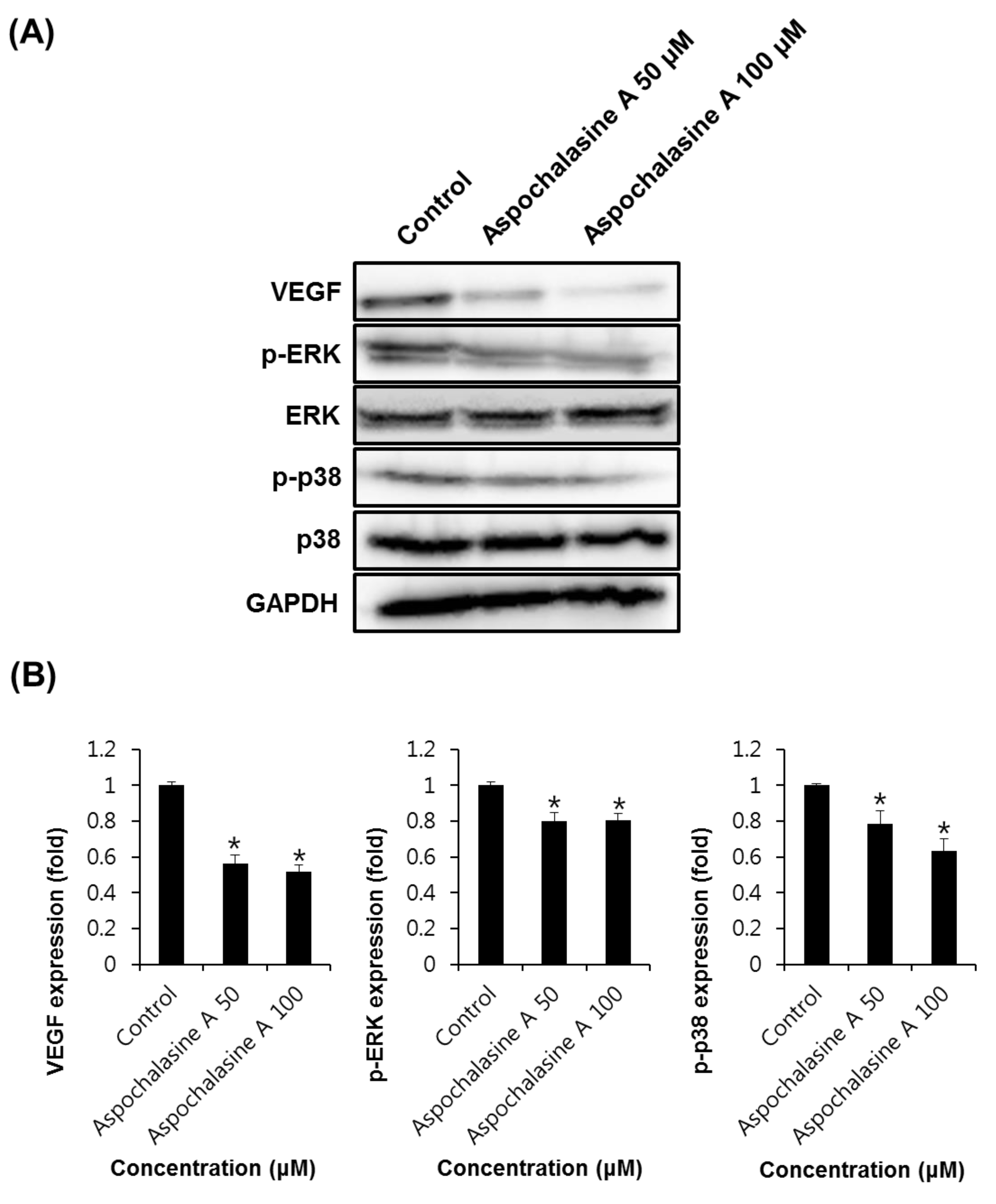 Biomolecules 09 00358 g006 Biomolecules 09 00358 g006