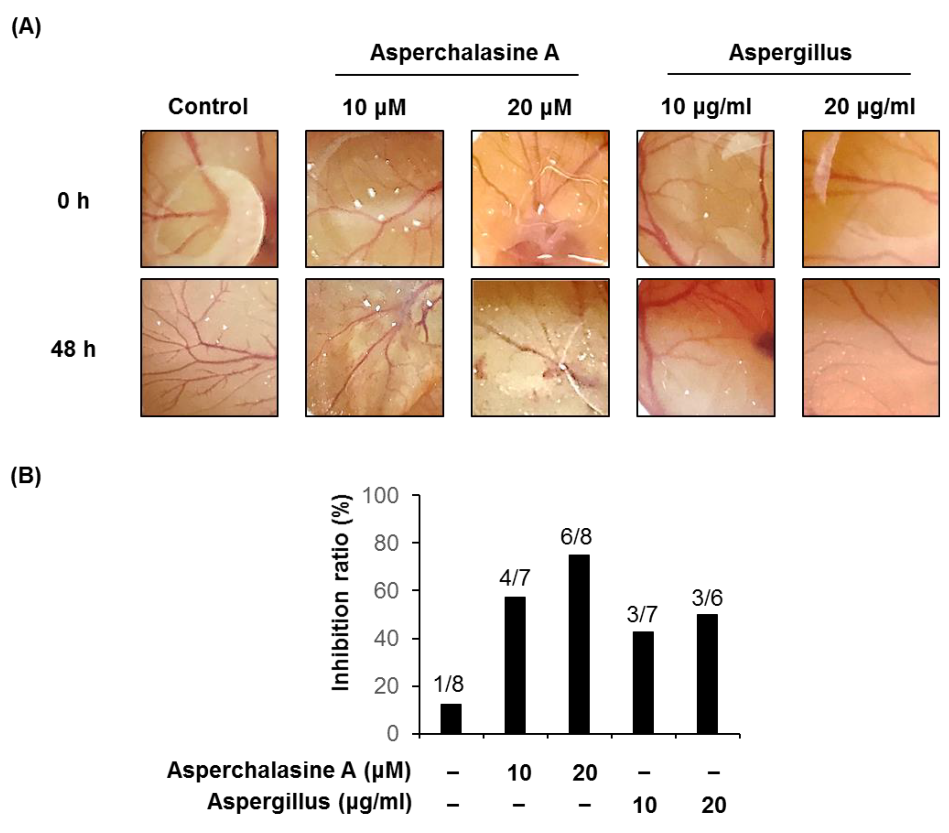 Biomolecules 09 00358 g009 Biomolecules 09 00358 g009