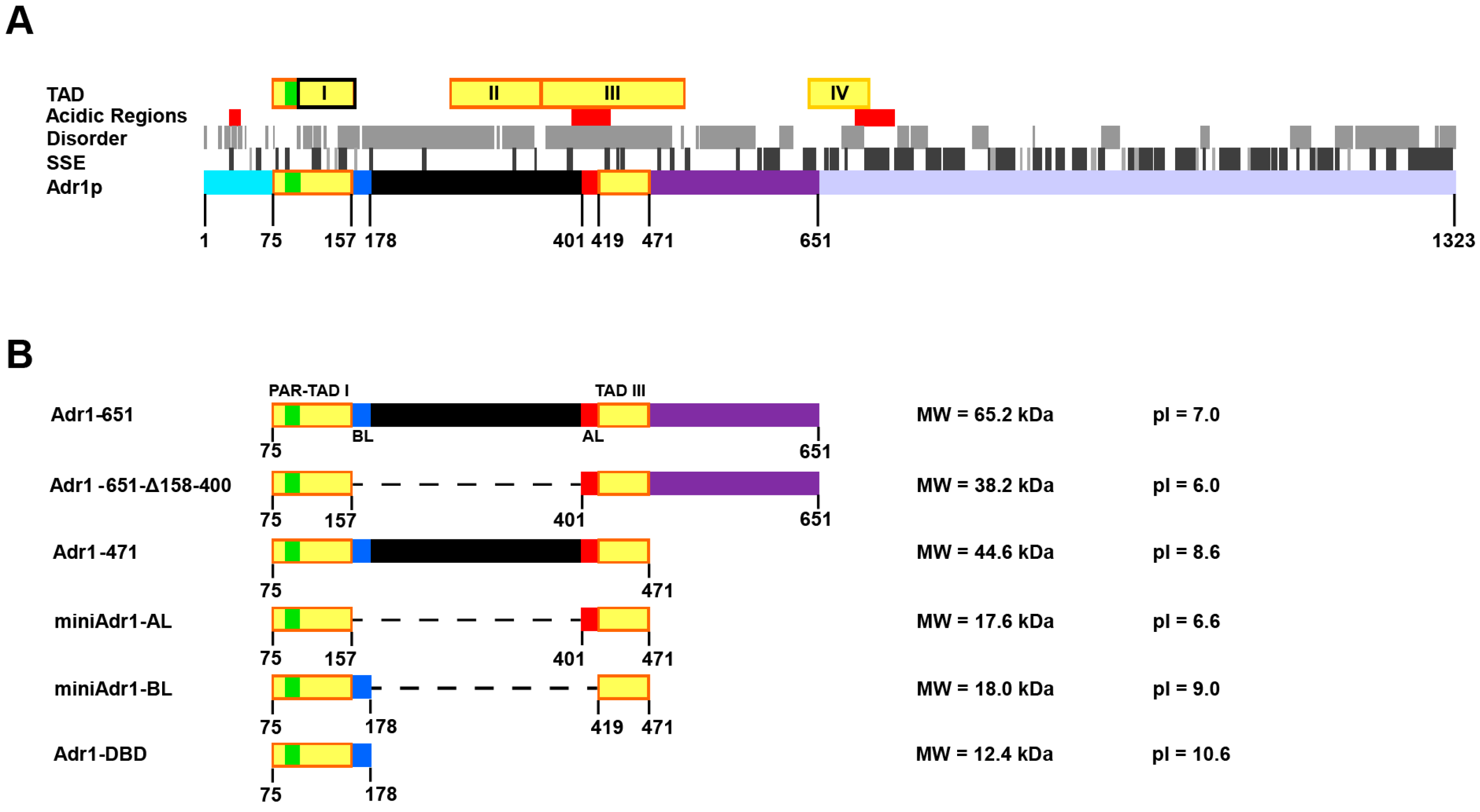 Biomolecules 09 00497 g001