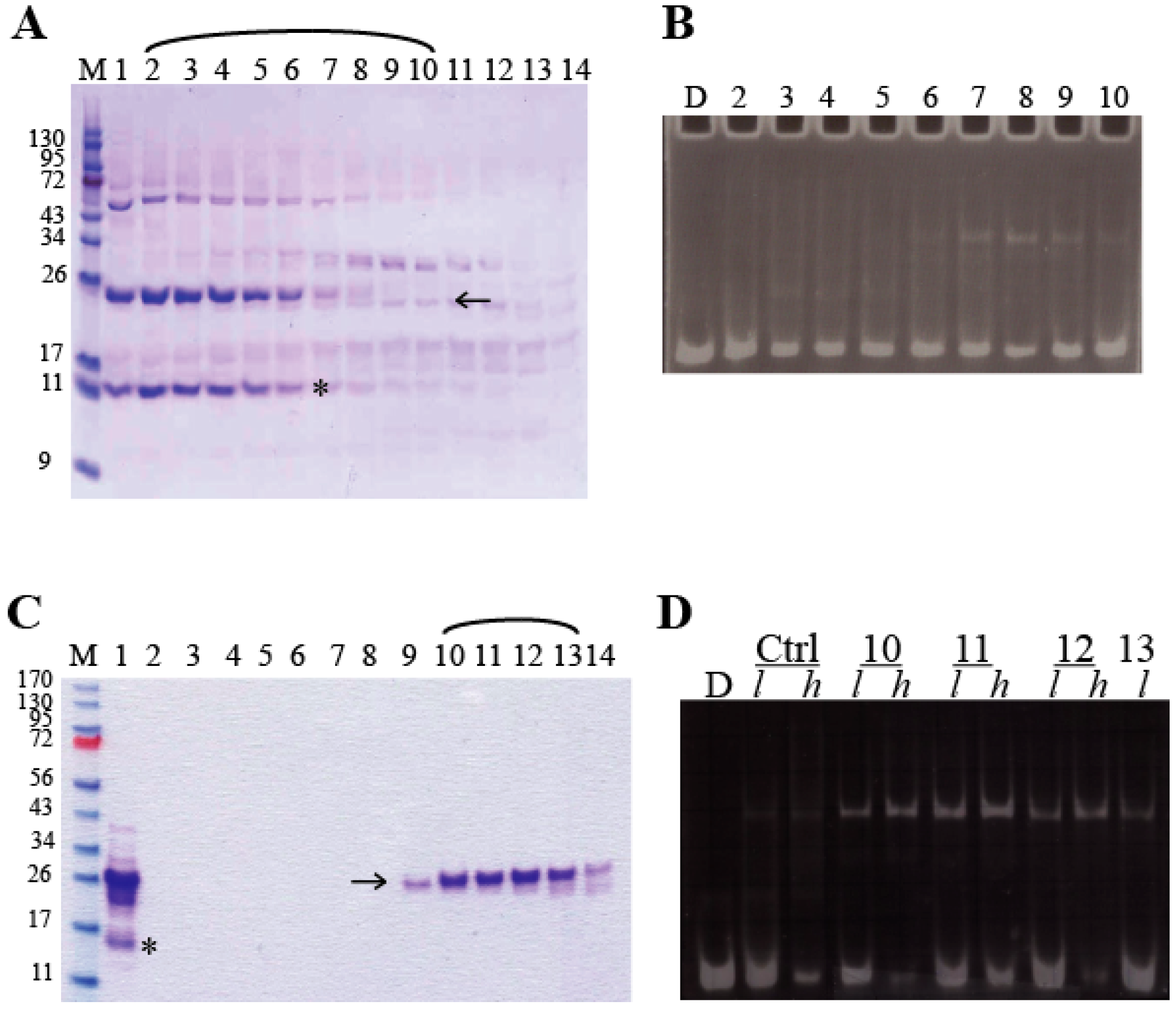 Biomolecules 09 00497 g002