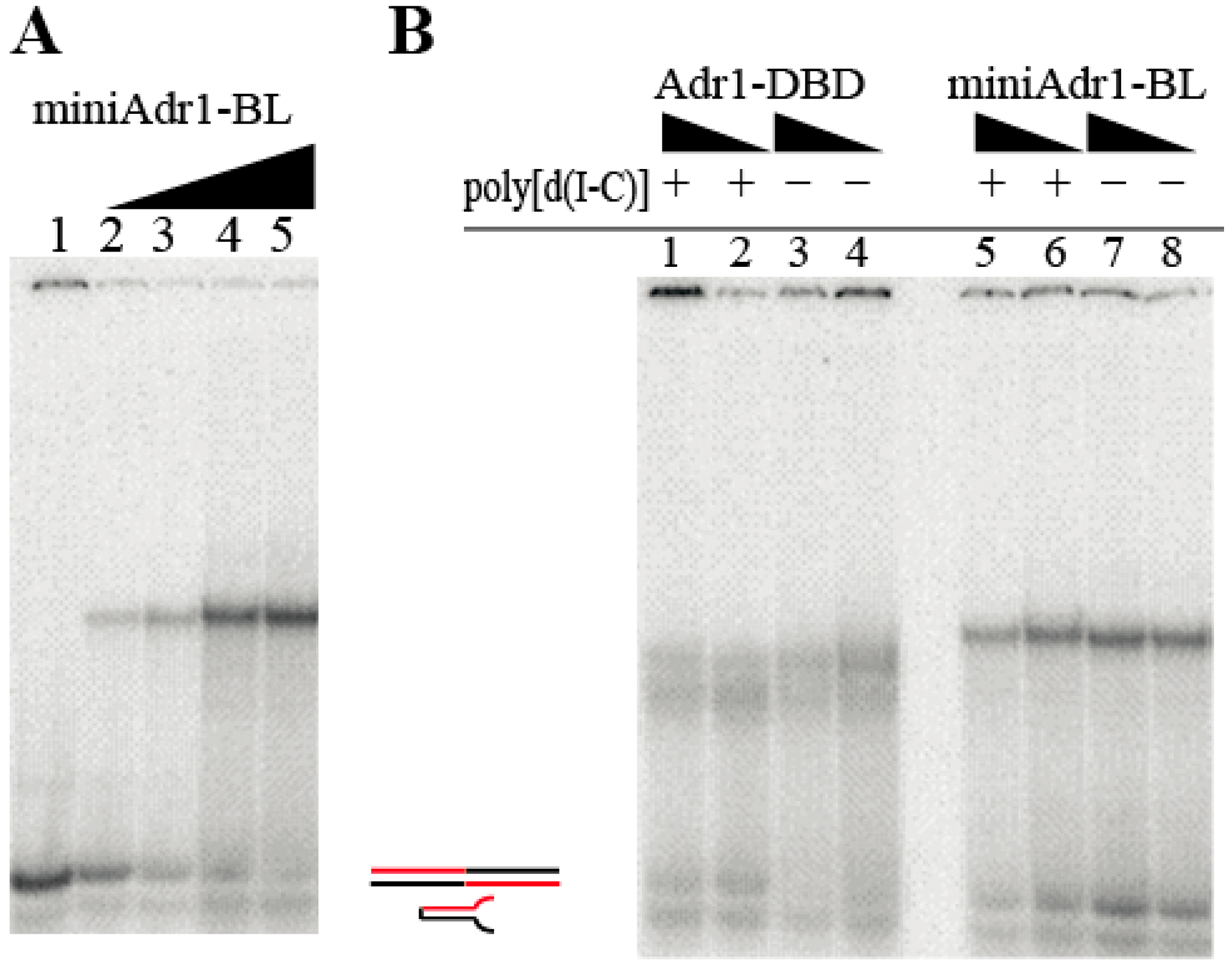 Biomolecules 09 00497 g003