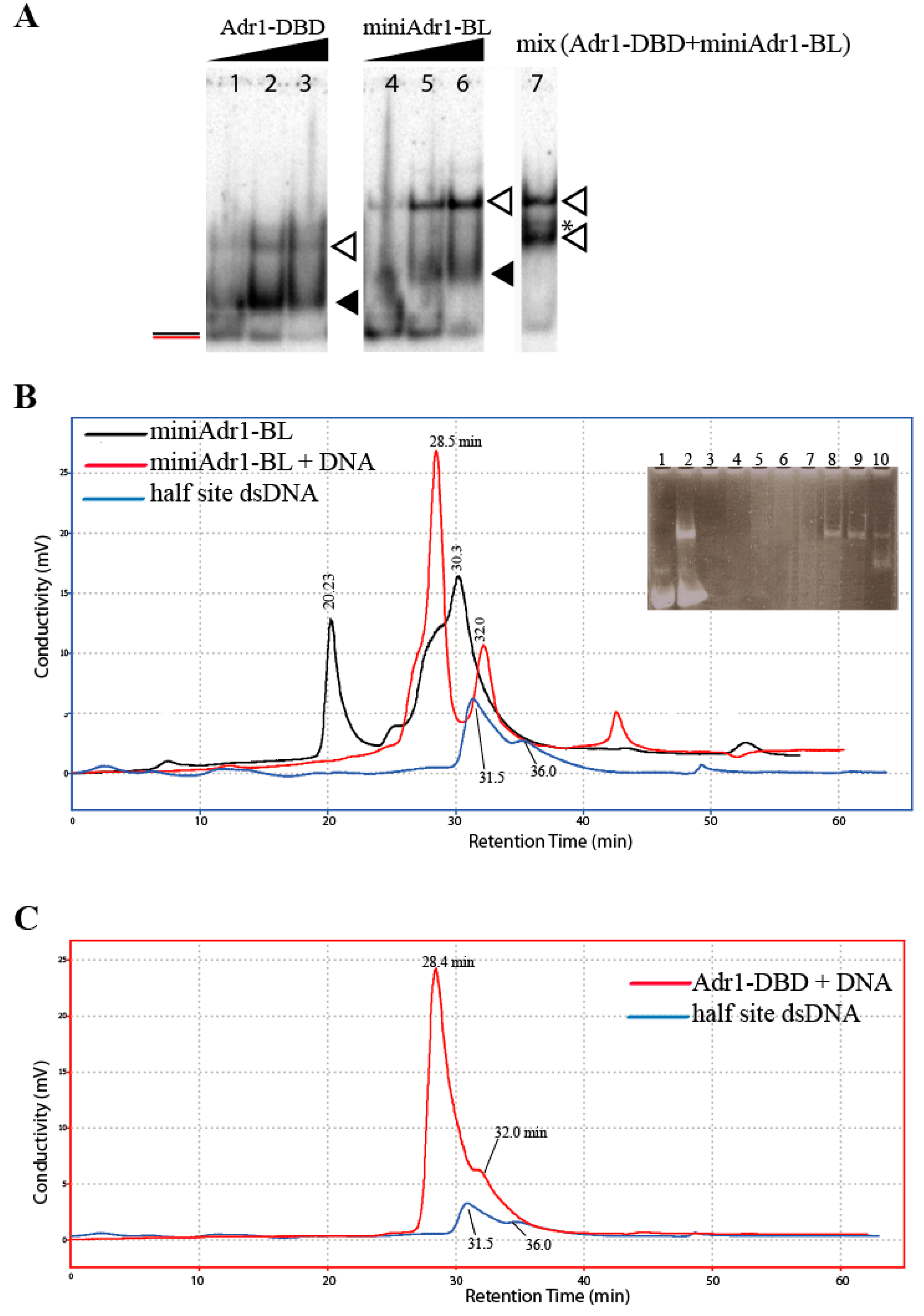Biomolecules 09 00497 g004