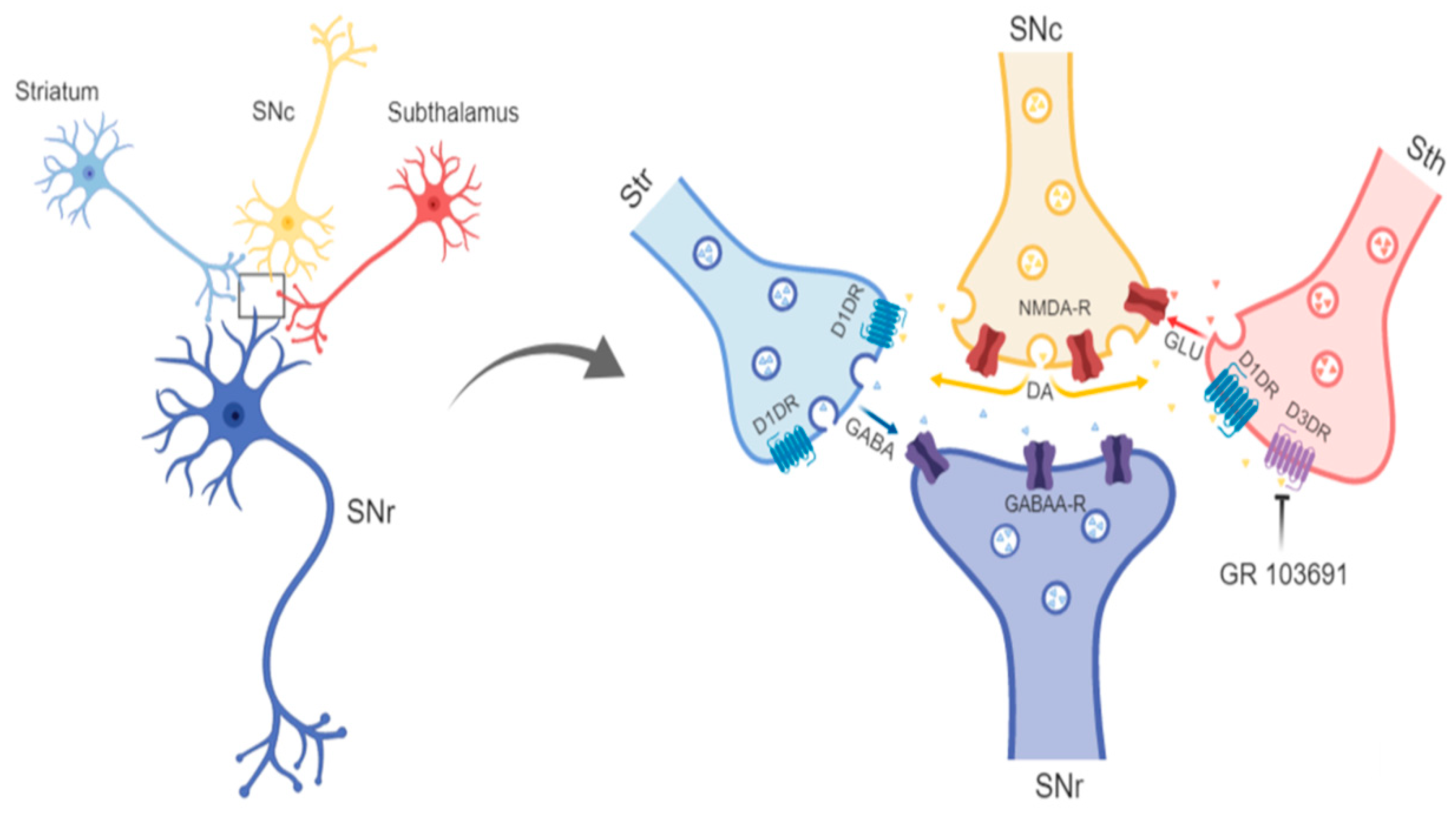Biomolecules 09 00511 g009
