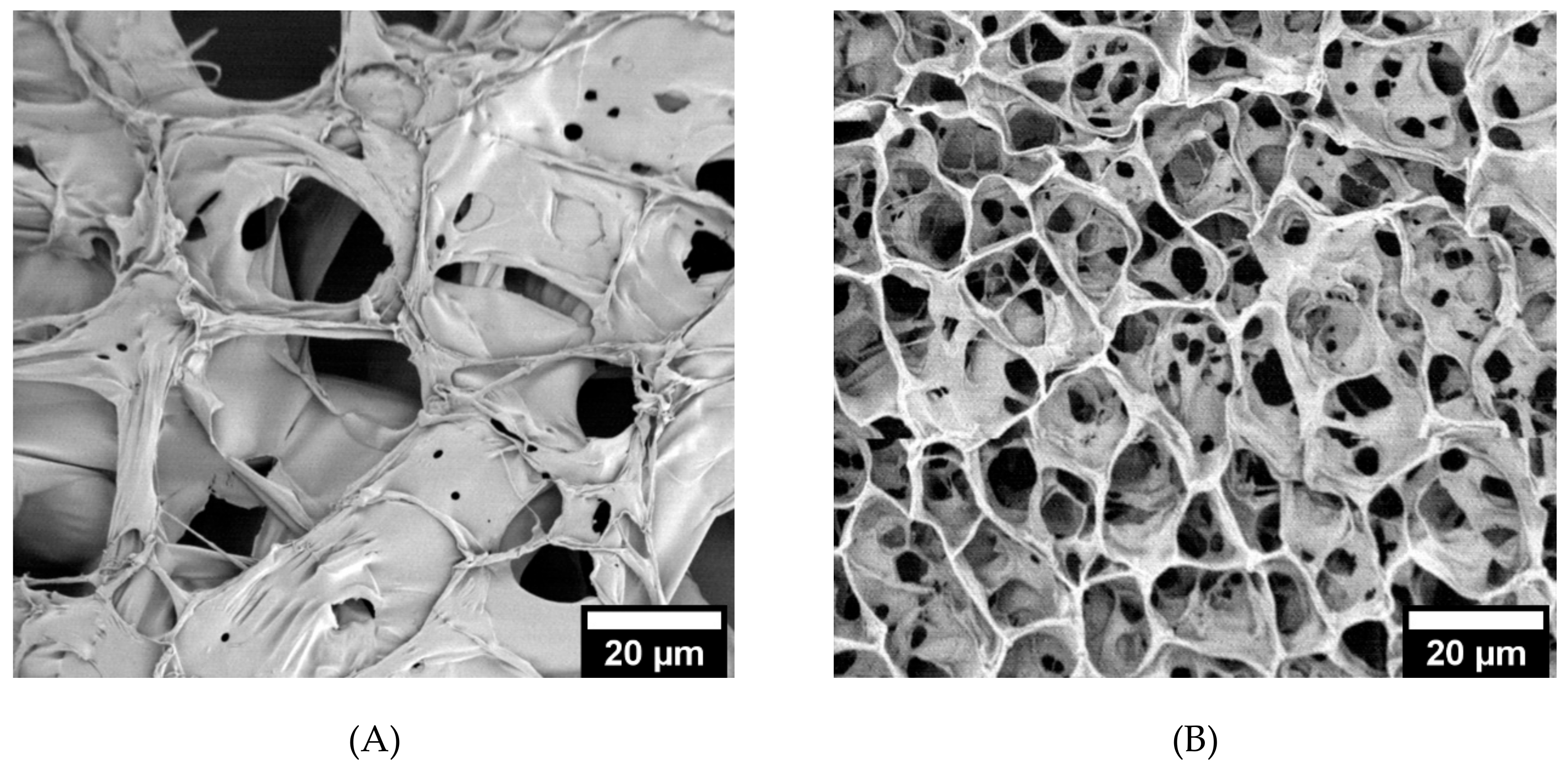 Biomolecules Free Full Text Cost Effective Cosmetic Grade Hyaluronan Hydrogels For Rencell Vm Human Neural Stem Cell Culture Html