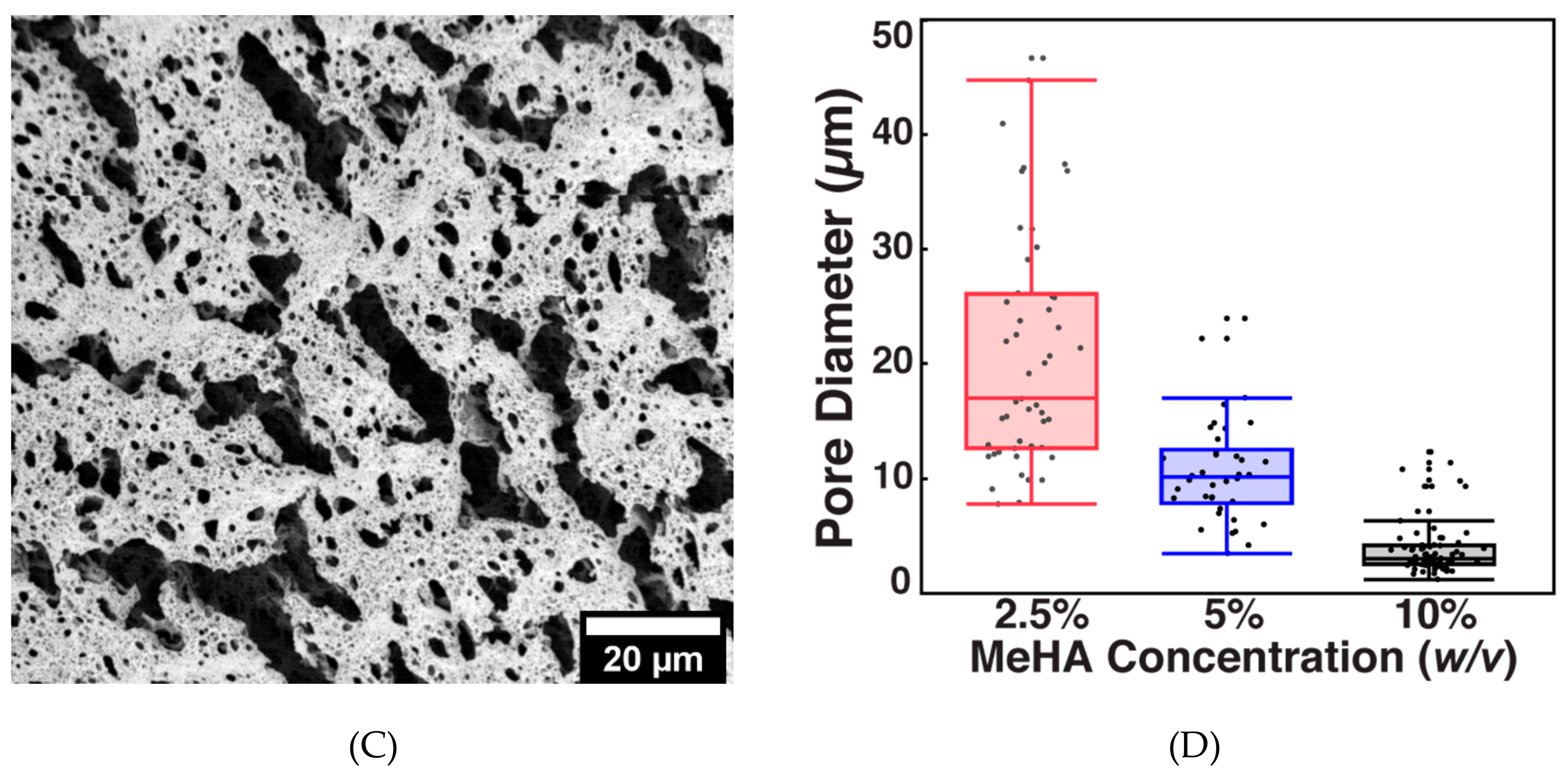 Biomolecules Free Full Text Cost Effective Cosmetic Grade Hyaluronan Hydrogels For Rencell Vm Human Neural Stem Cell Culture Html