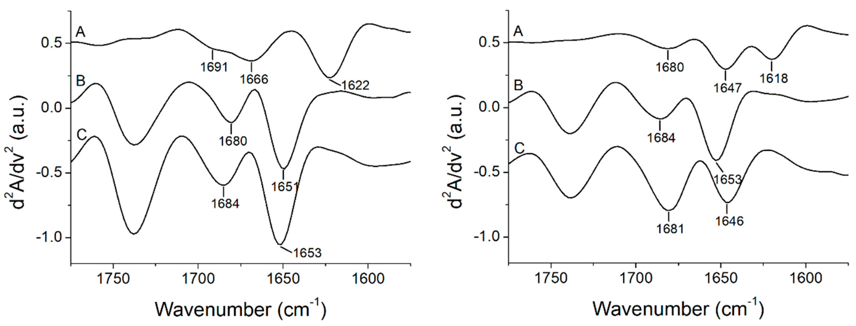 Biomolecules 09 00527 g005