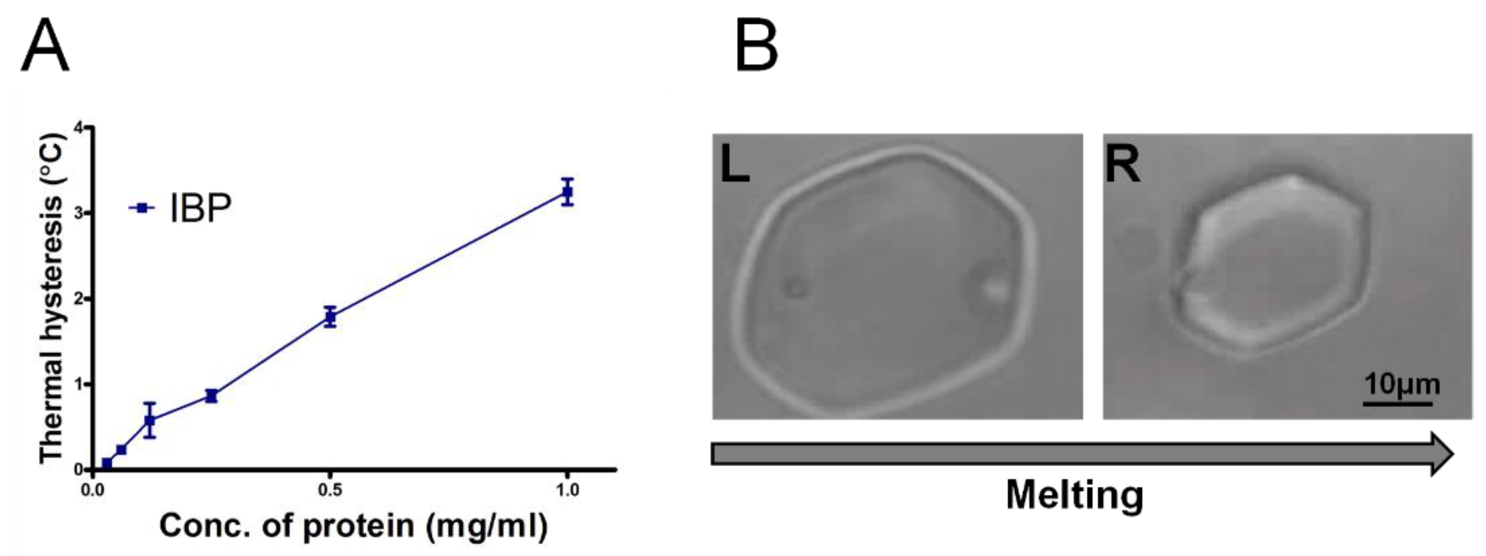 Biomolecules 09 00532 g008