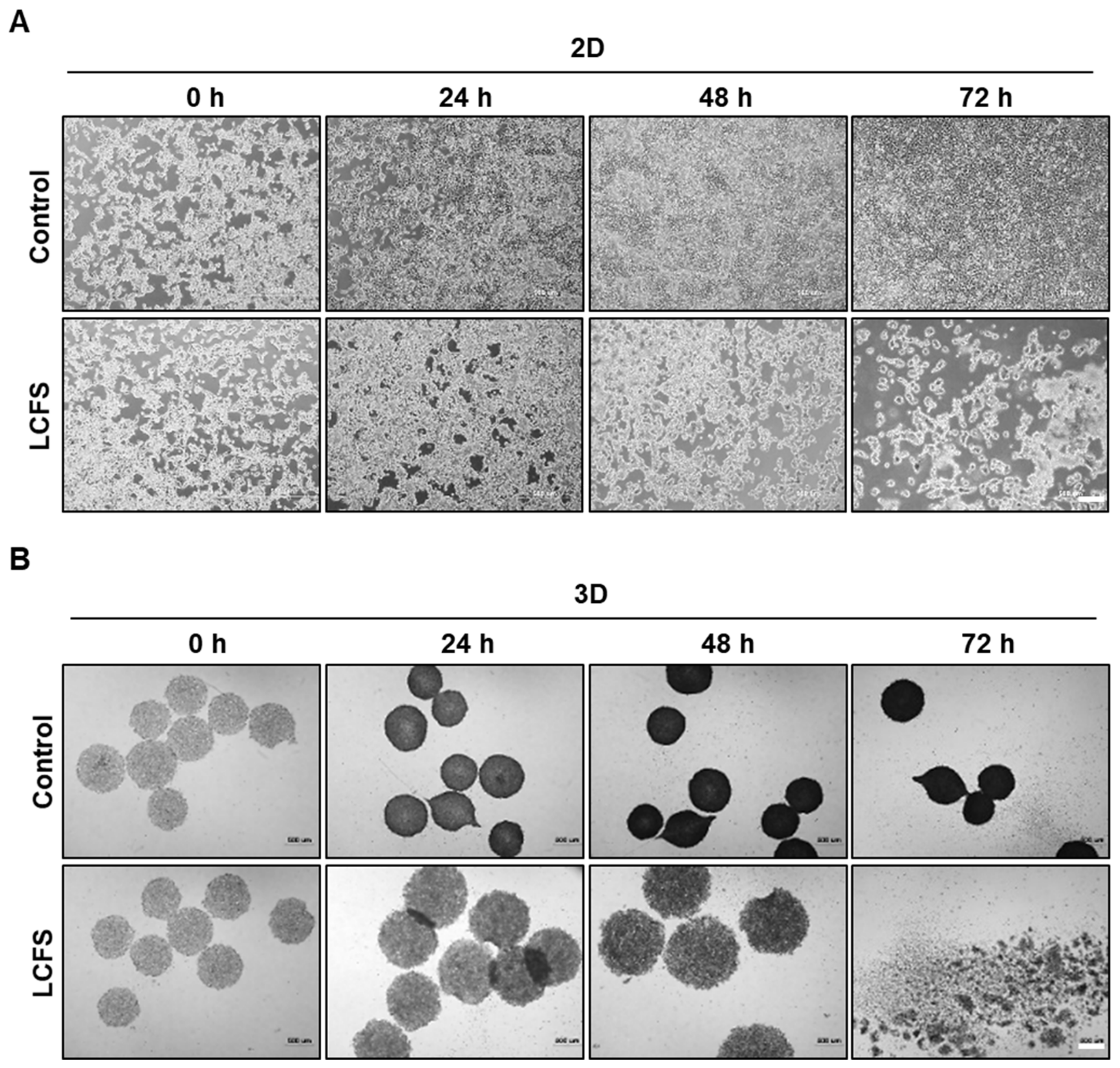 Biomolecules 09 00557 g002 Biomolecules 09 00557 g002
