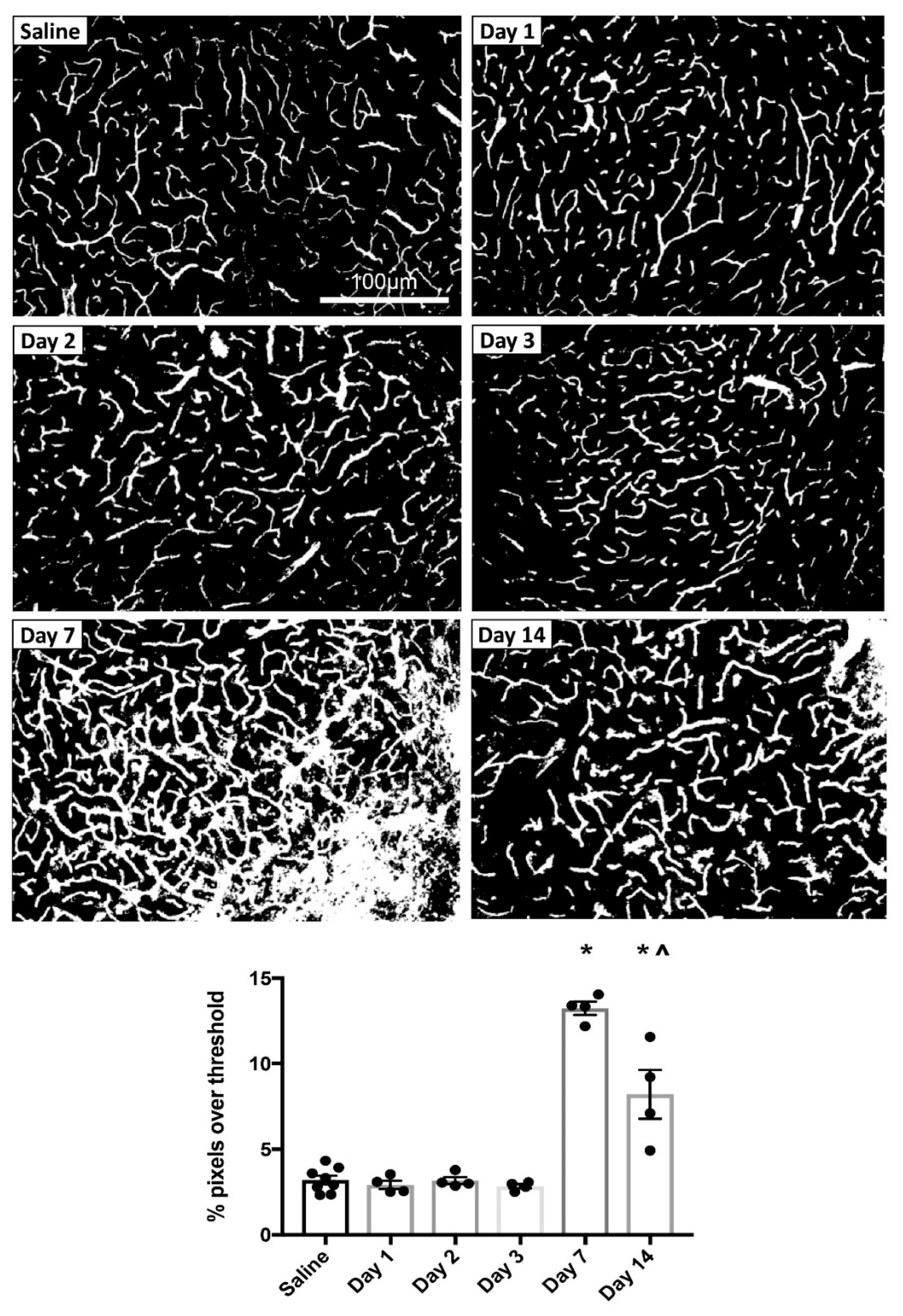 Biomolecules 09 00564 g002
