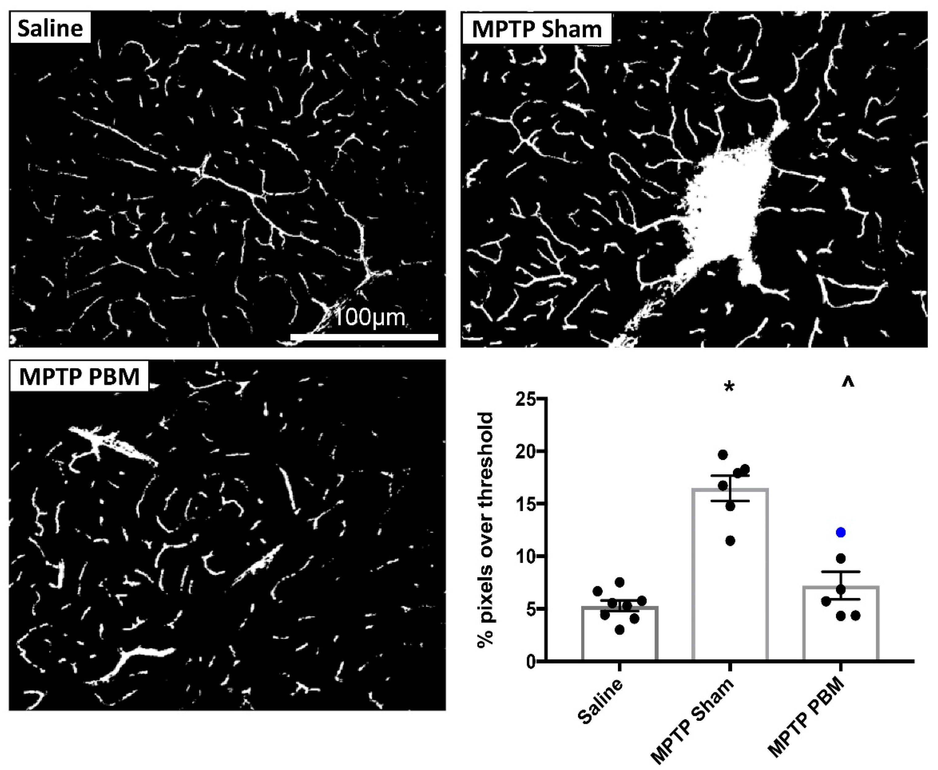 Biomolecules 09 00564 g005