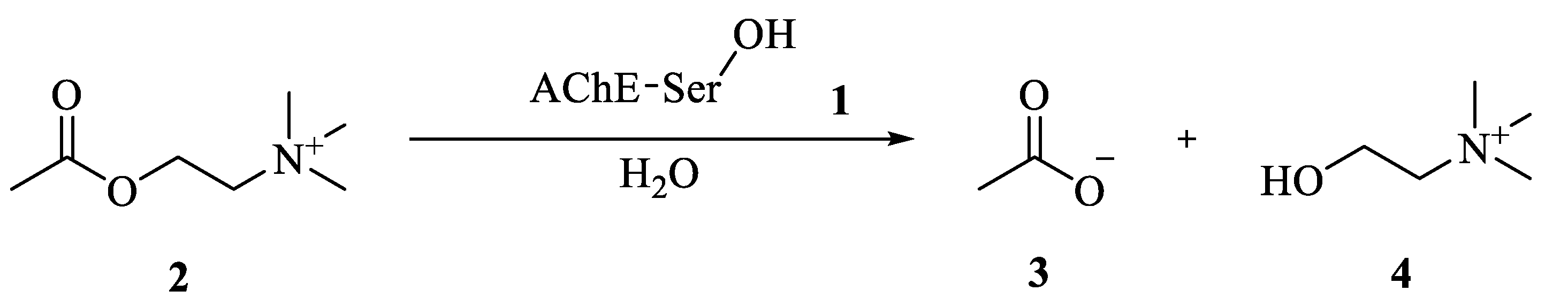 Biomolecules 09 00583 sch001