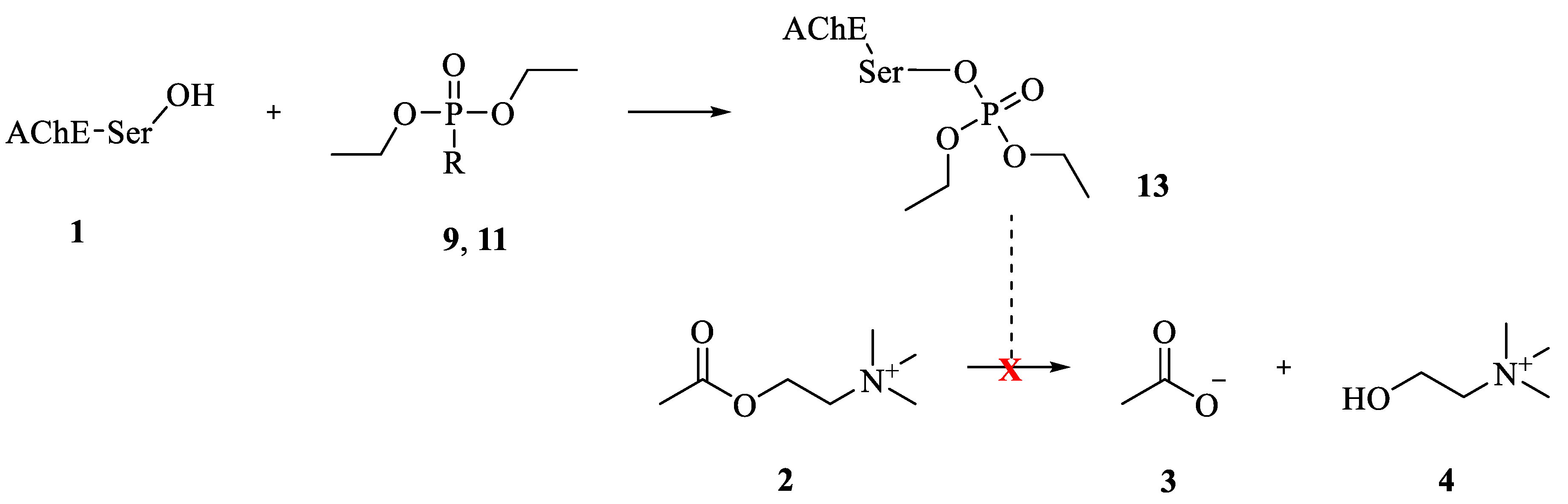Biomolecules 09 00583 sch003