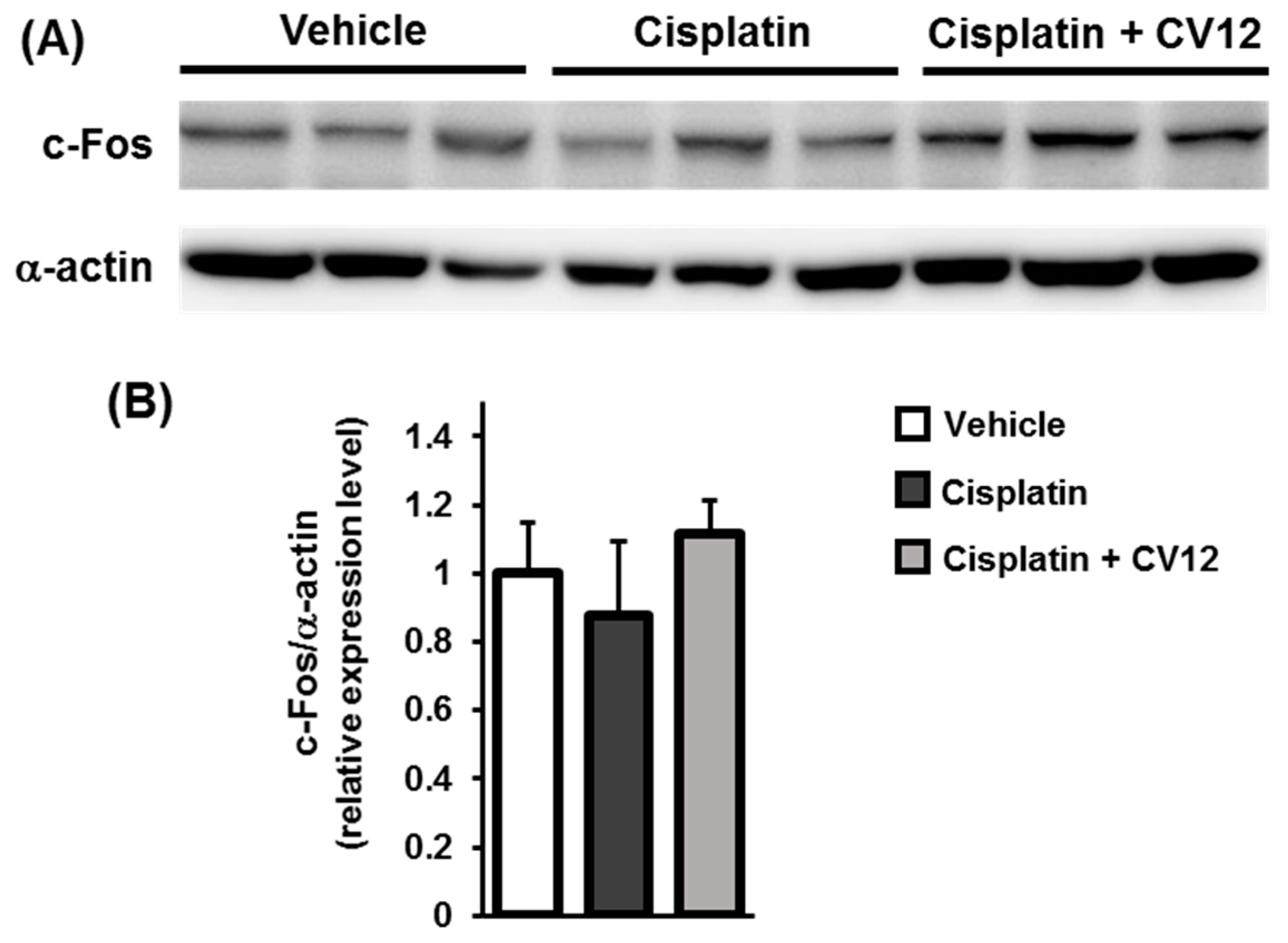 Biomolecules 09 00624 g005 Biomolecules 09 00624 g005