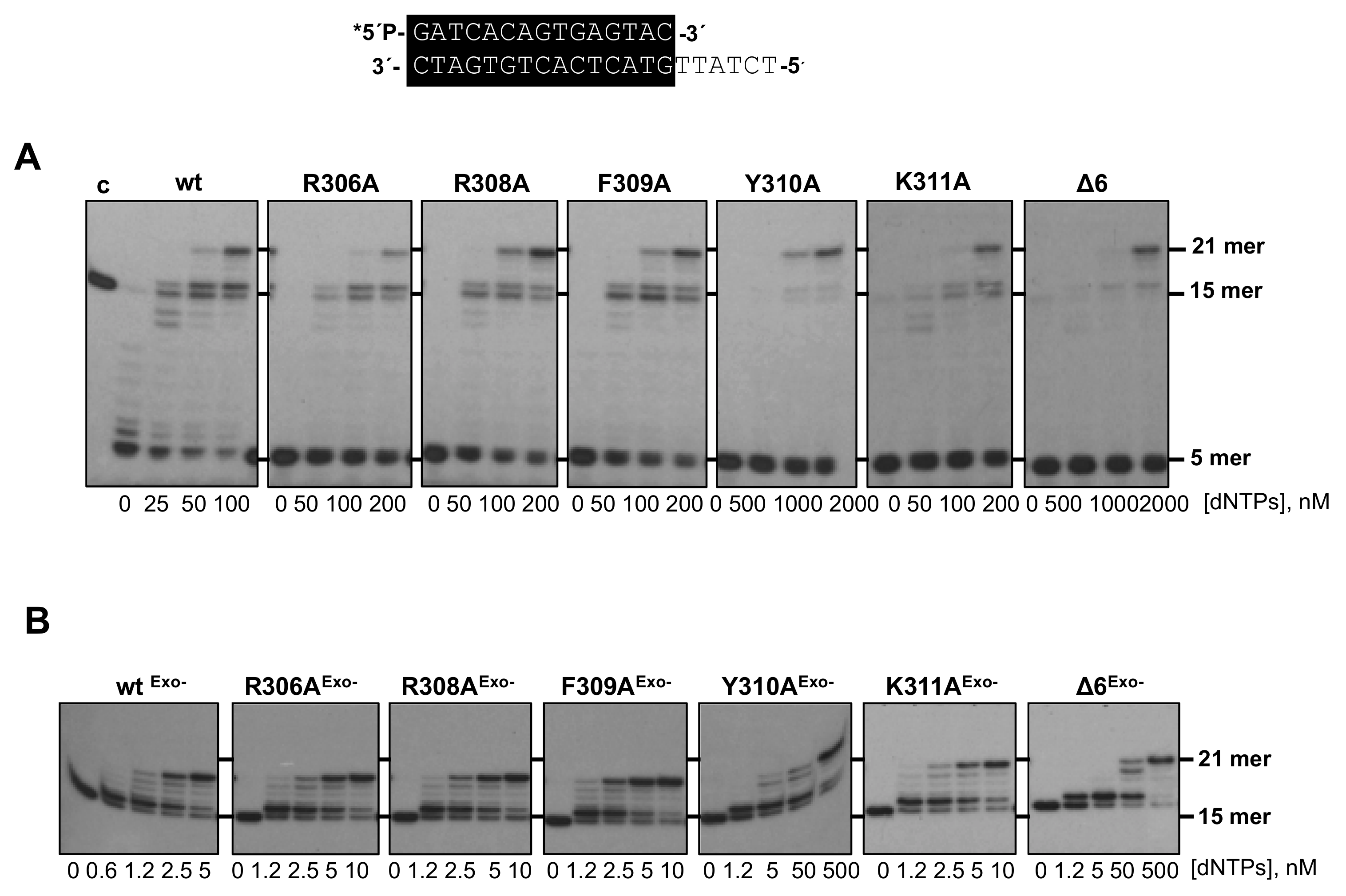 Biomolecules 09 00648 g002 Biomolecules 09 00648 g002