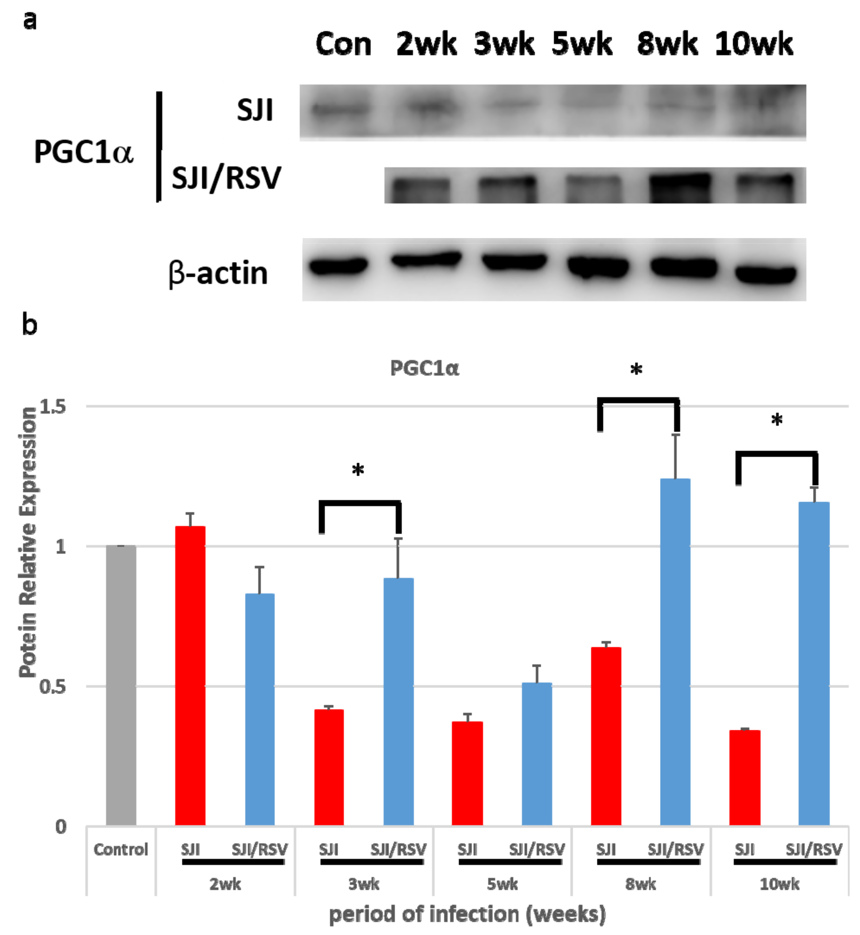 Biomolecules 09 00658 g001