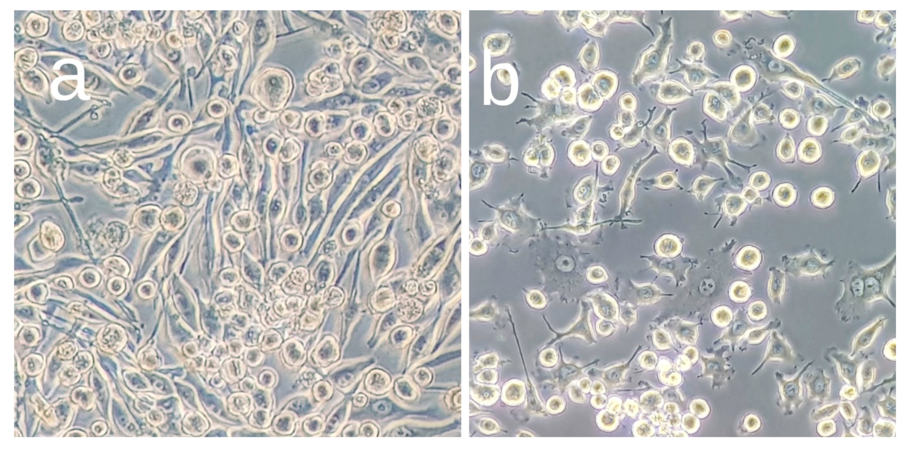 Biomolecules 09 00683 g002
