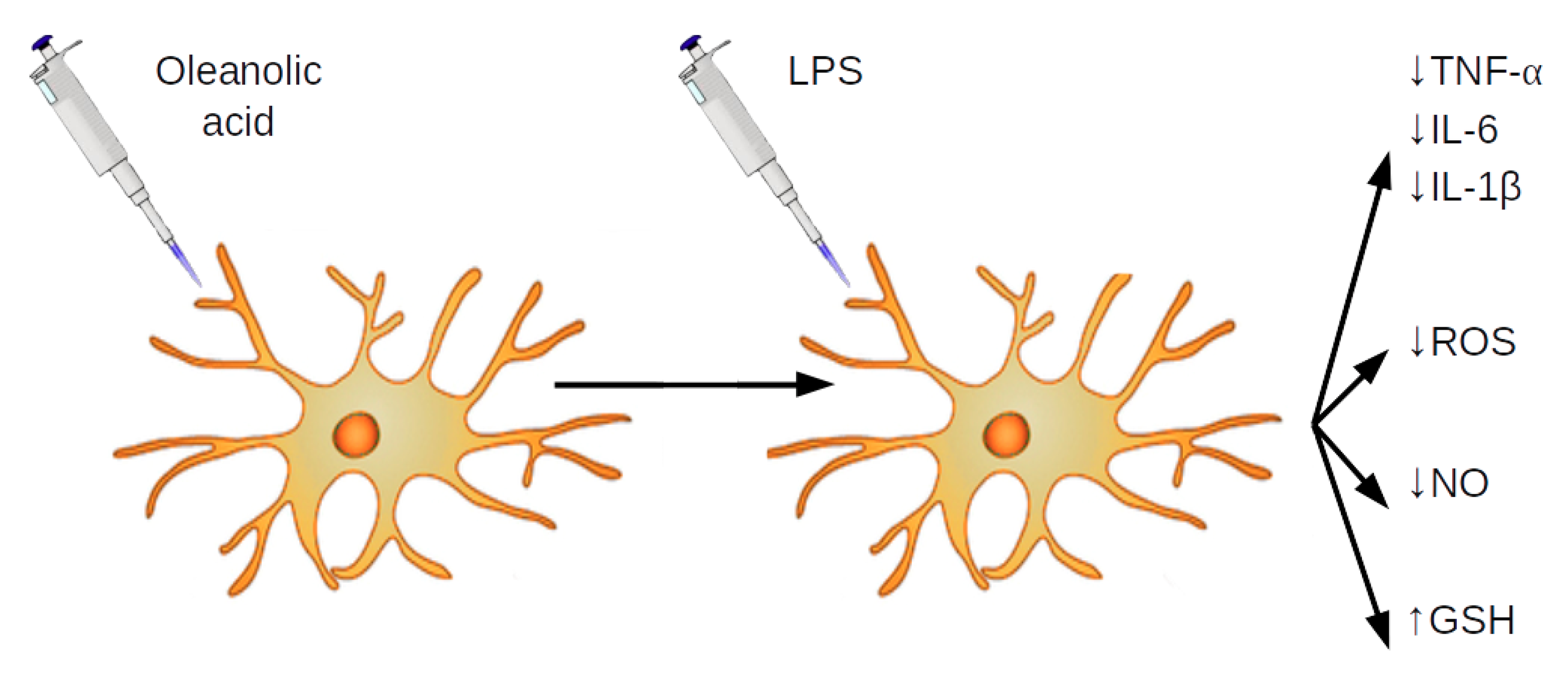 Biomolecules 09 00683 g008