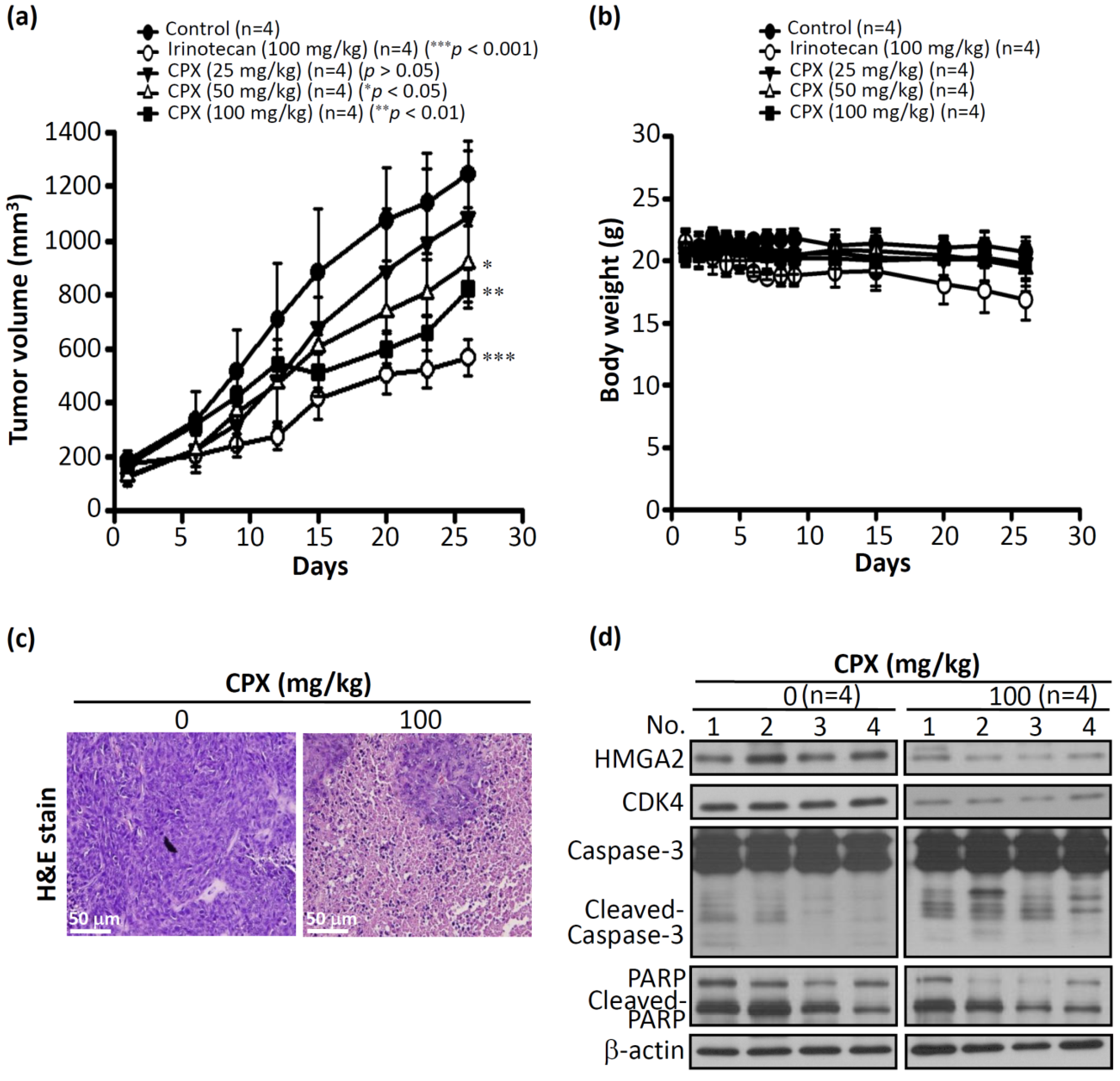 Biomolecules 09 00688 g004 Biomolecules 09 00688 g004