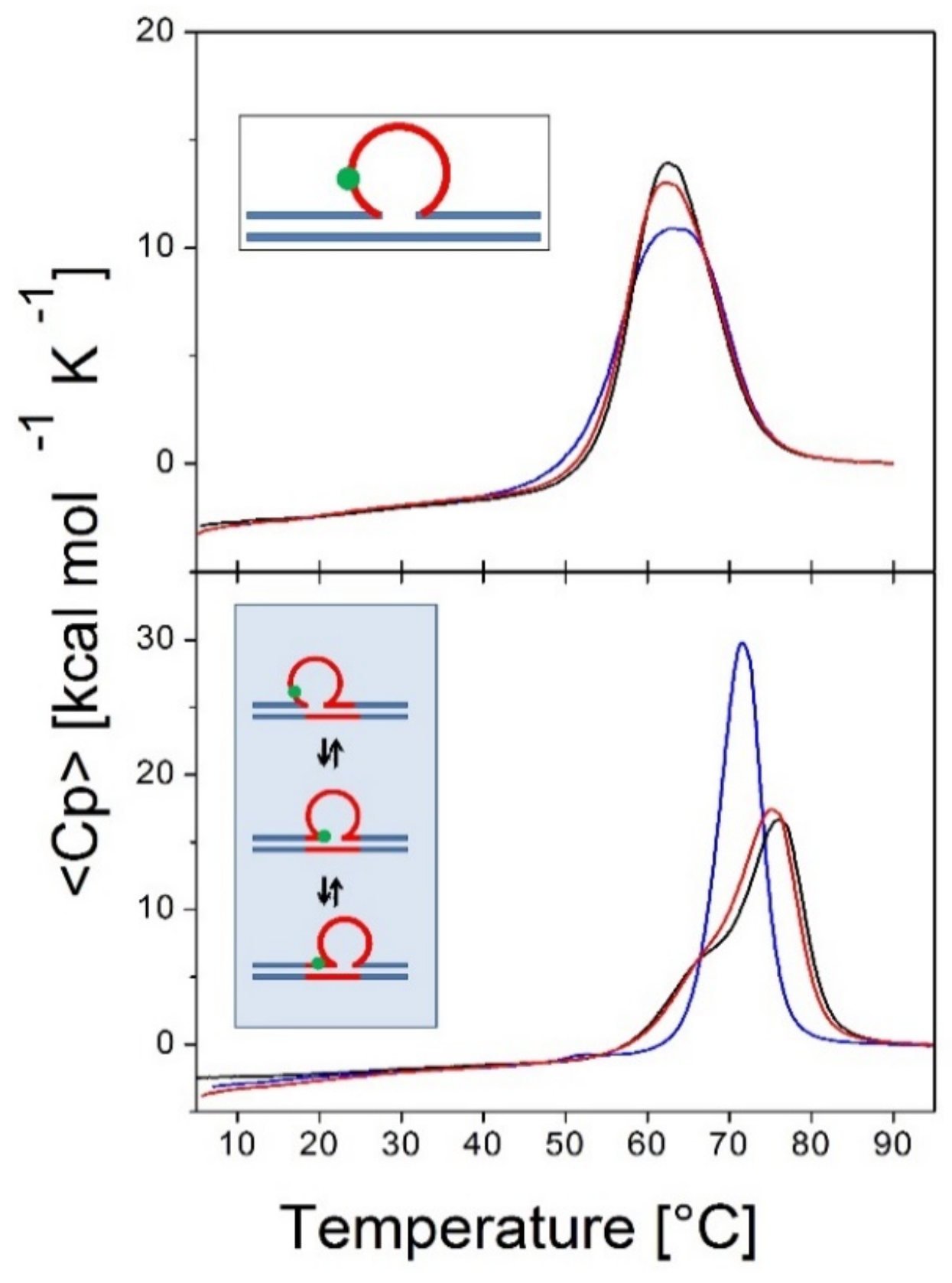 Biomolecules 09 00709 g003