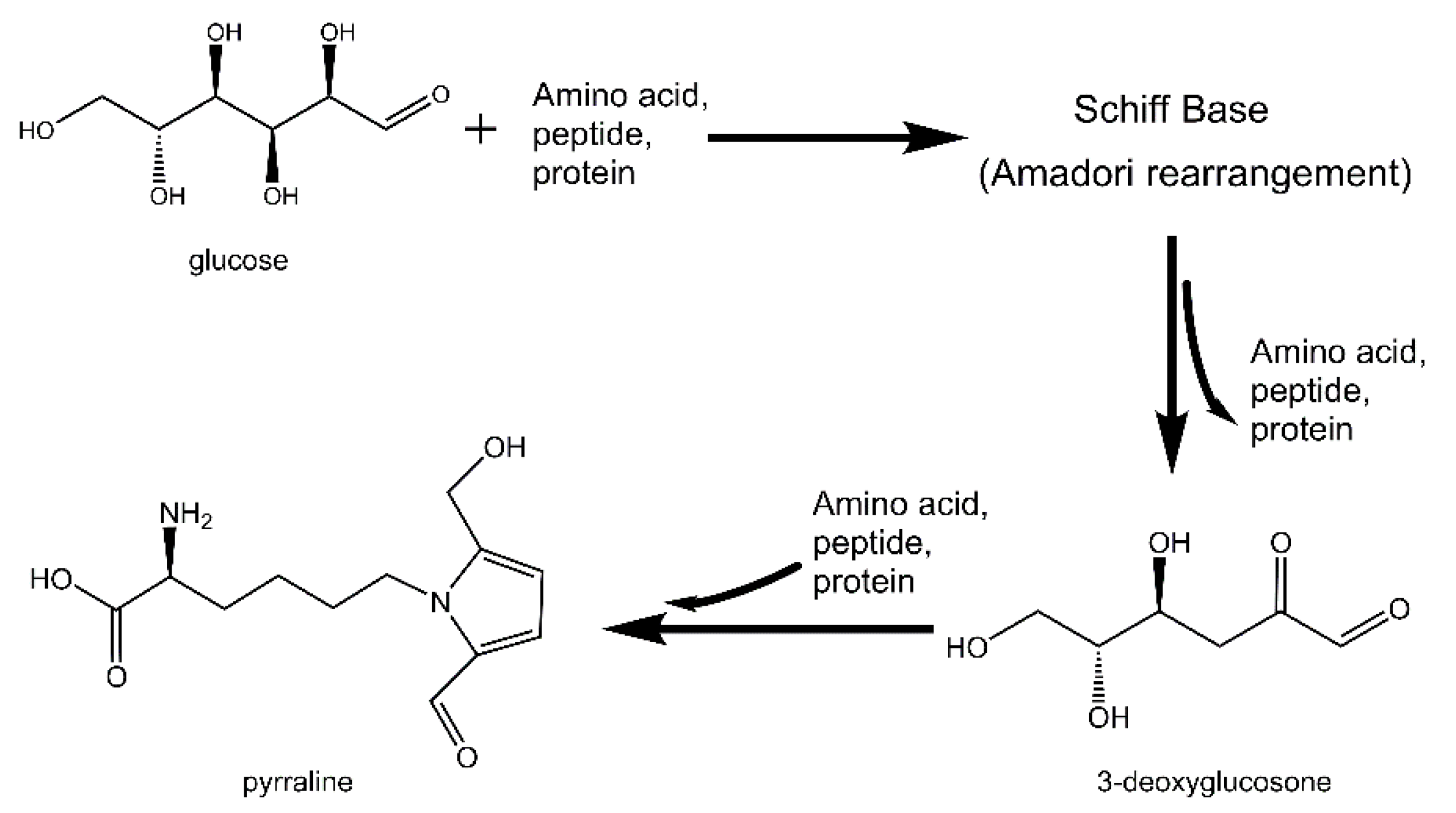 Biomolecules 09 00721 sch001 Biomolecules 09 00721 sch001
