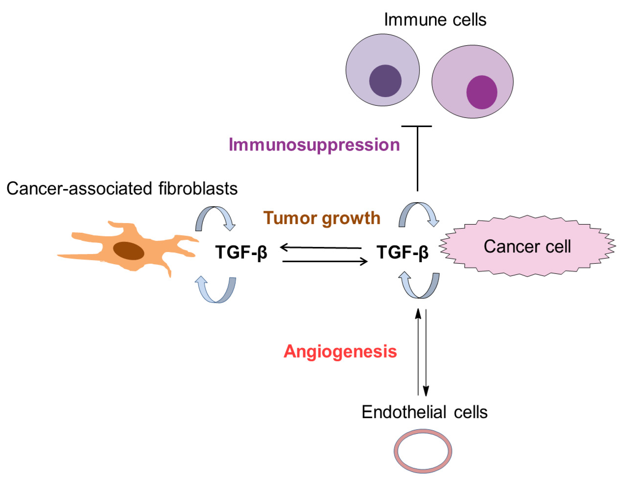 Biomolecules 09 00743 g004 Biomolecules 09 00743 g004