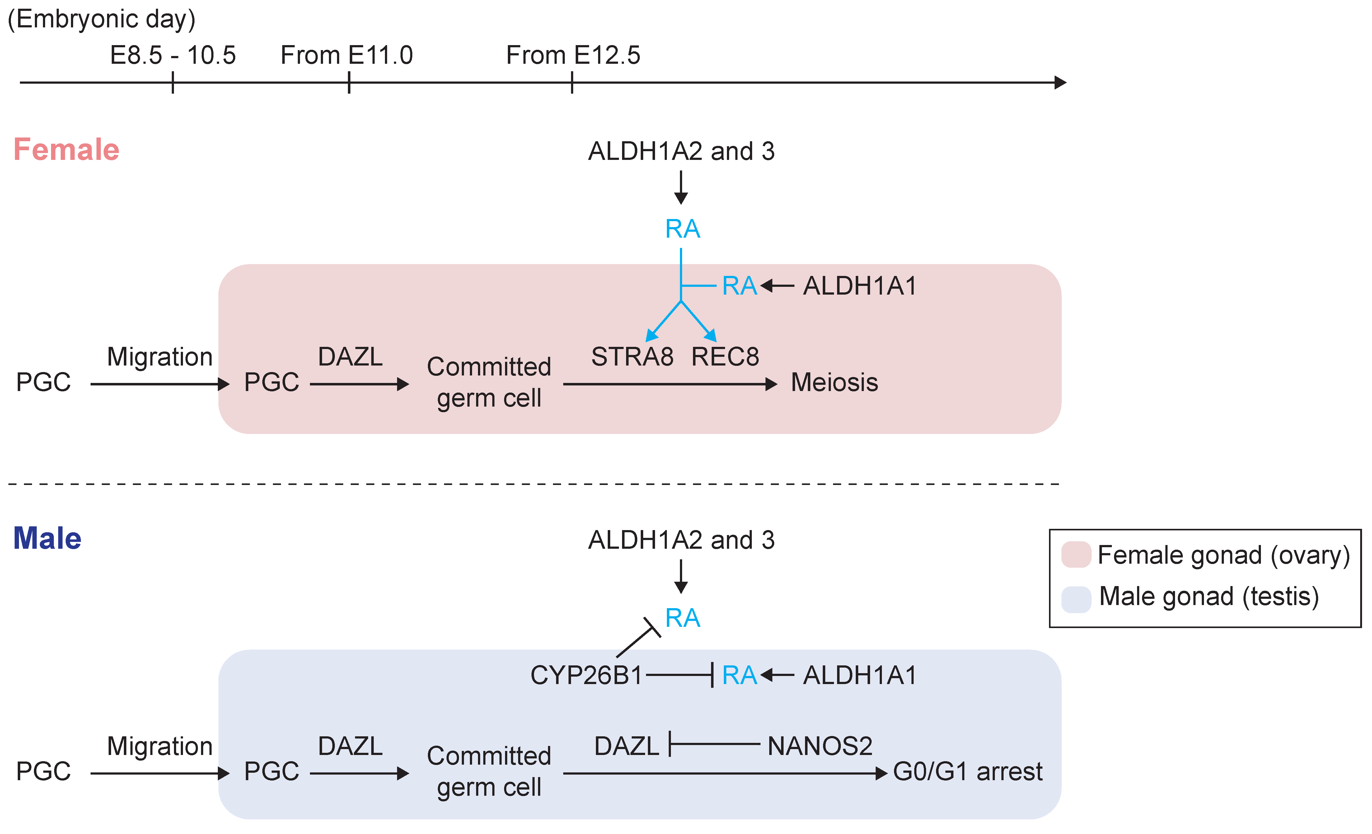Biomolecules 09 00775 g002 Biomolecules 09 00775 g002