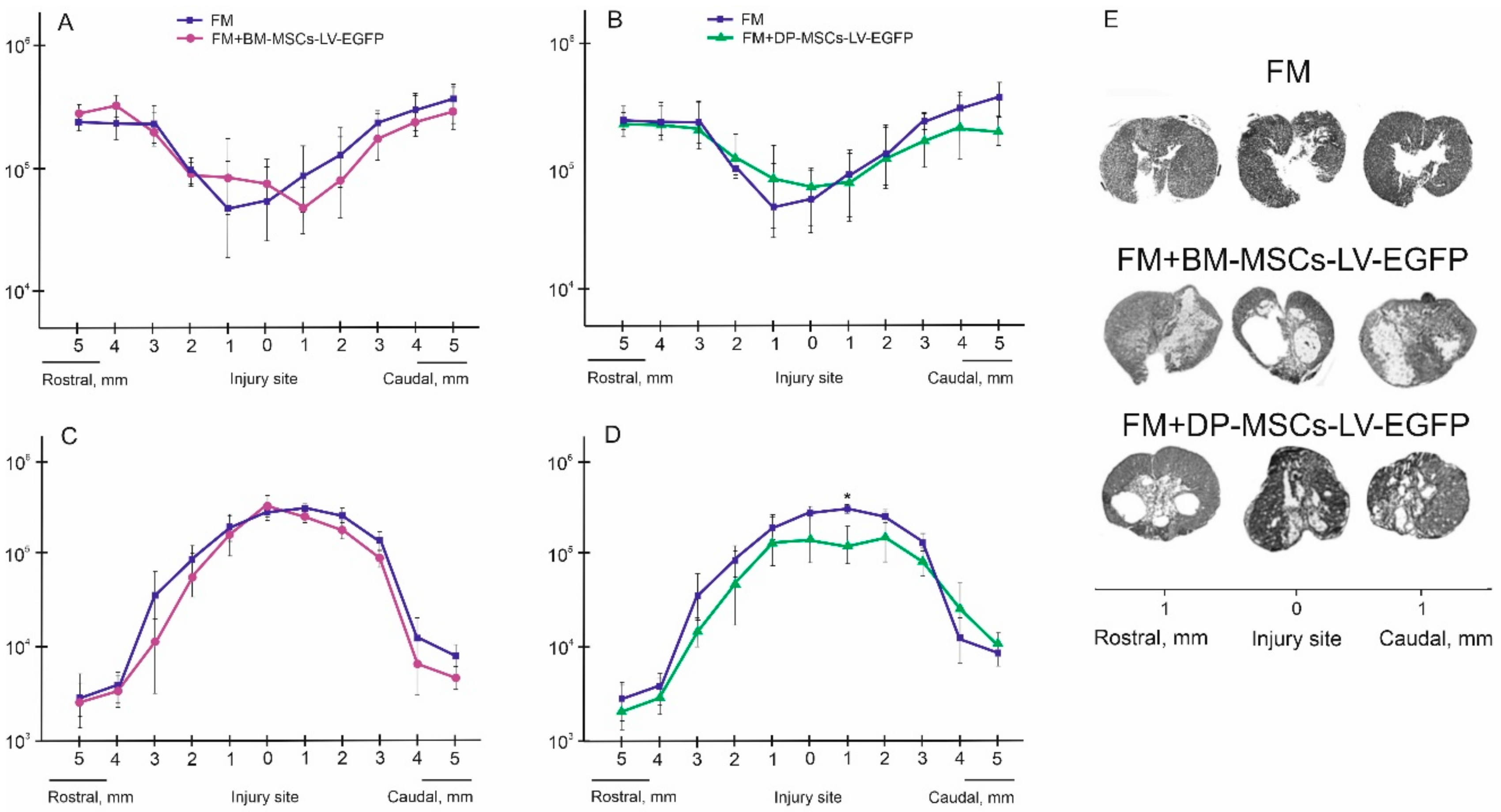 Biomolecules 09 00811 g004 Biomolecules 09 00811 g004