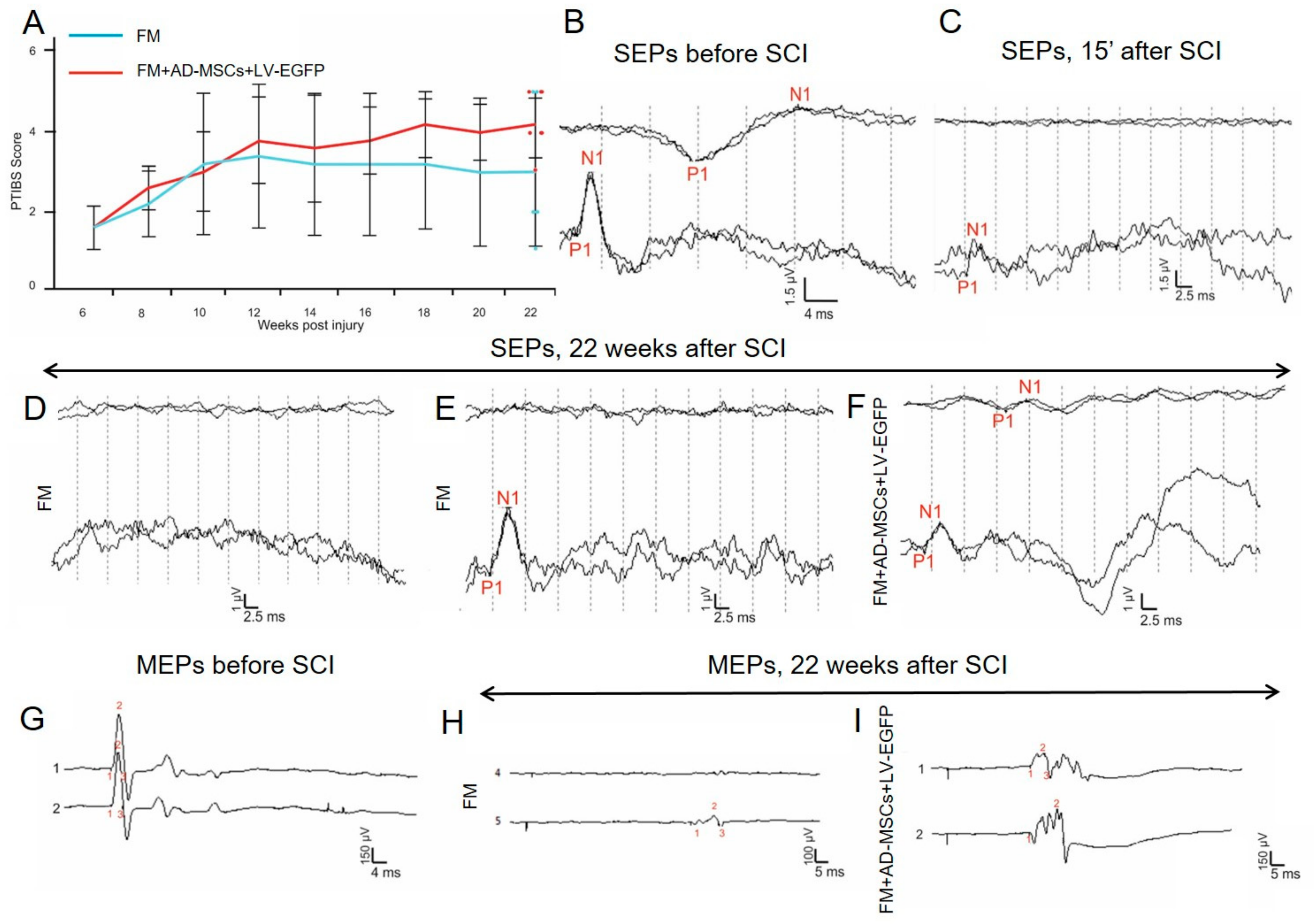 Biomolecules 09 00811 g007 Biomolecules 09 00811 g007