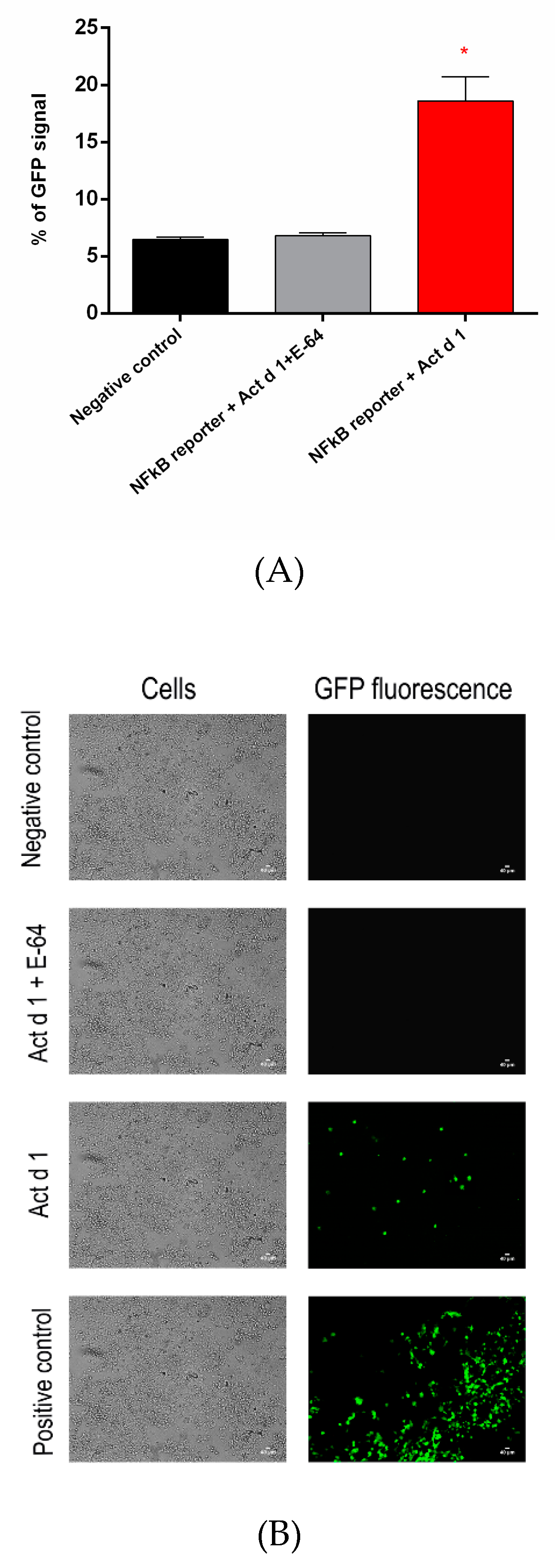 Biomolecules 09 00816 g006 Biomolecules 09 00816 g006
