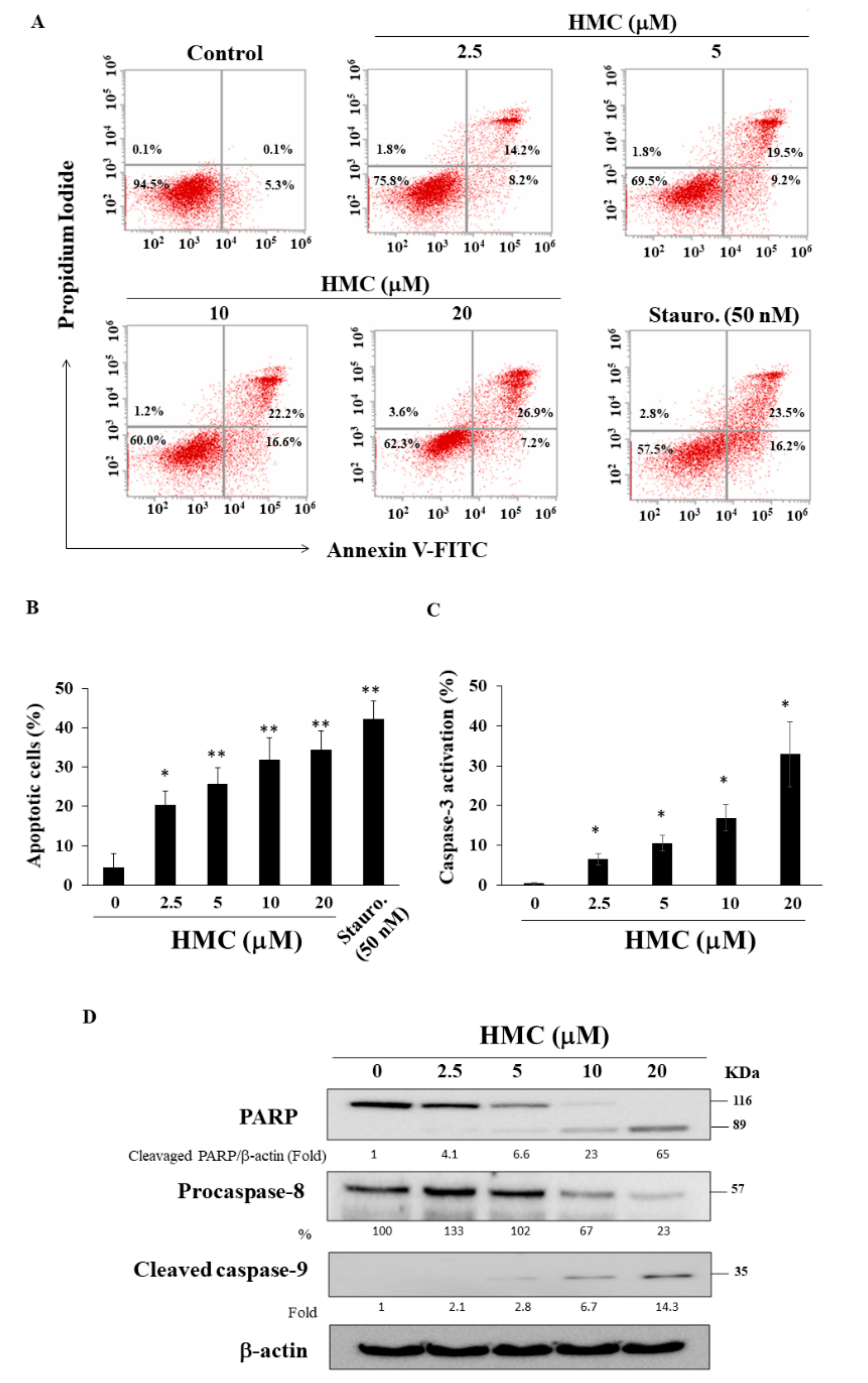 Biomolecules 09 00824 g002 Biomolecules 09 00824 g002