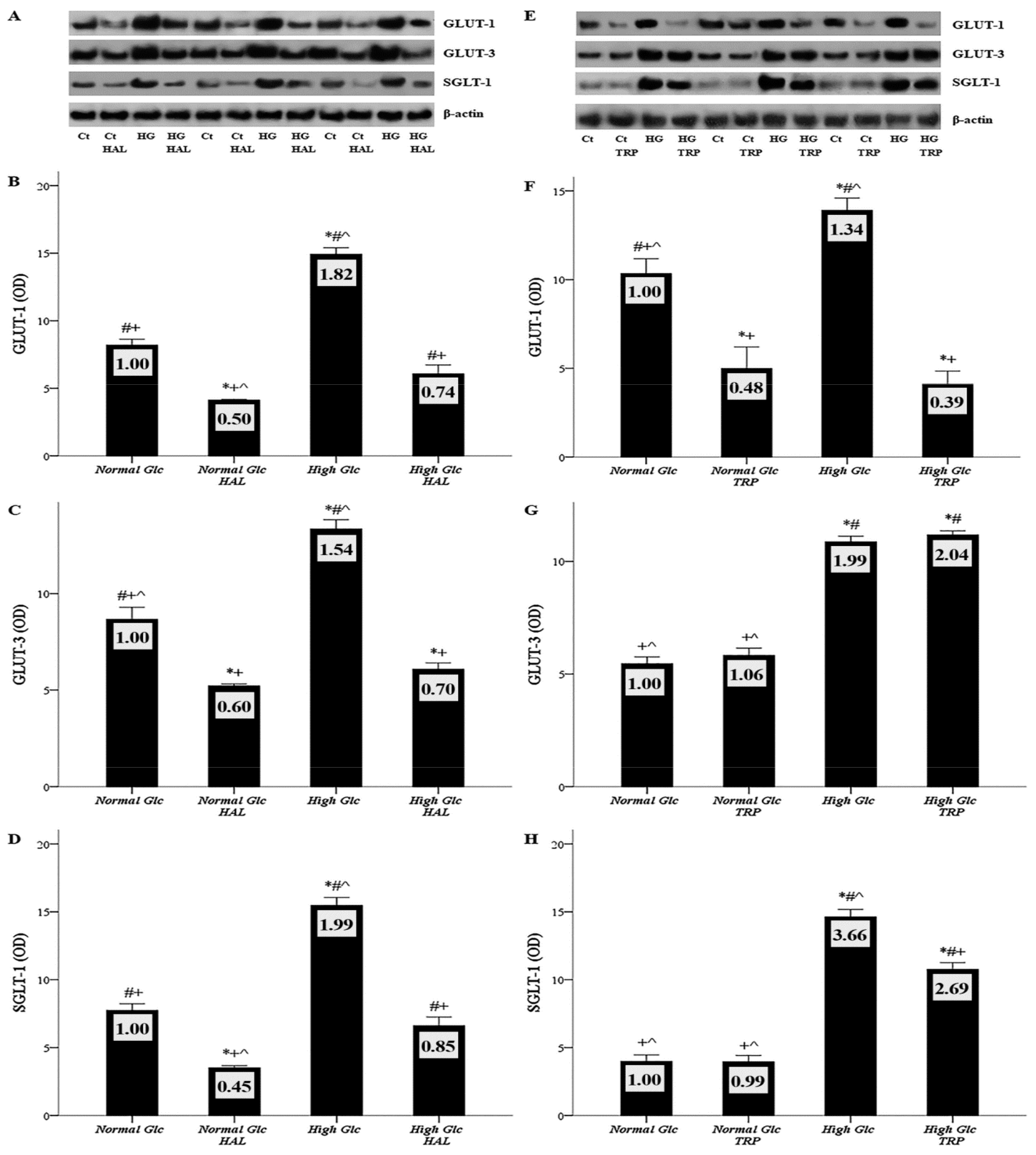 Biomolecules 09 00832 g002