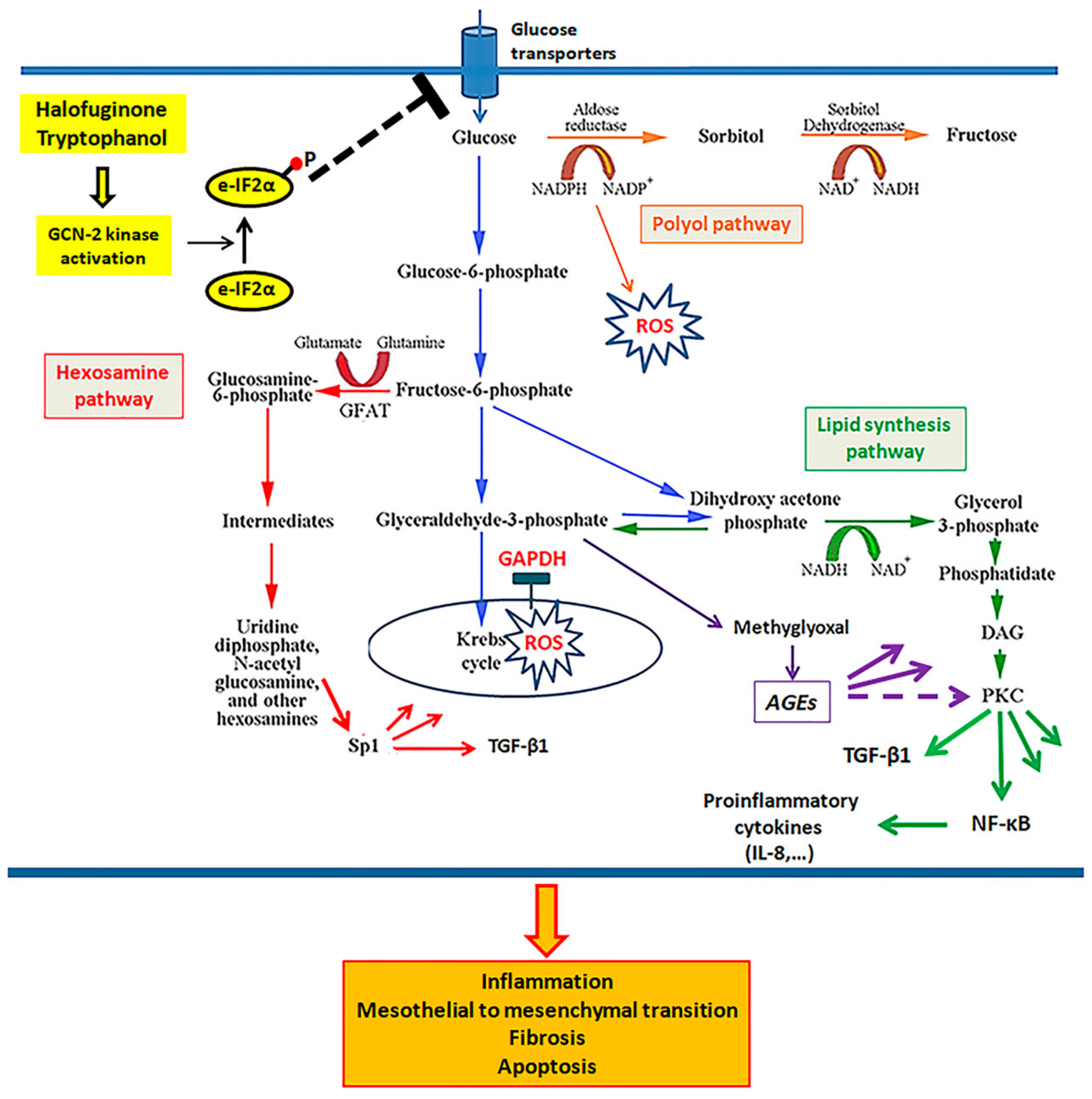 Biomolecules 09 00832 g008