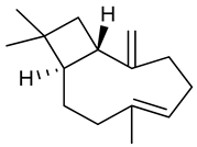 Biomolecules 09 00835 i004