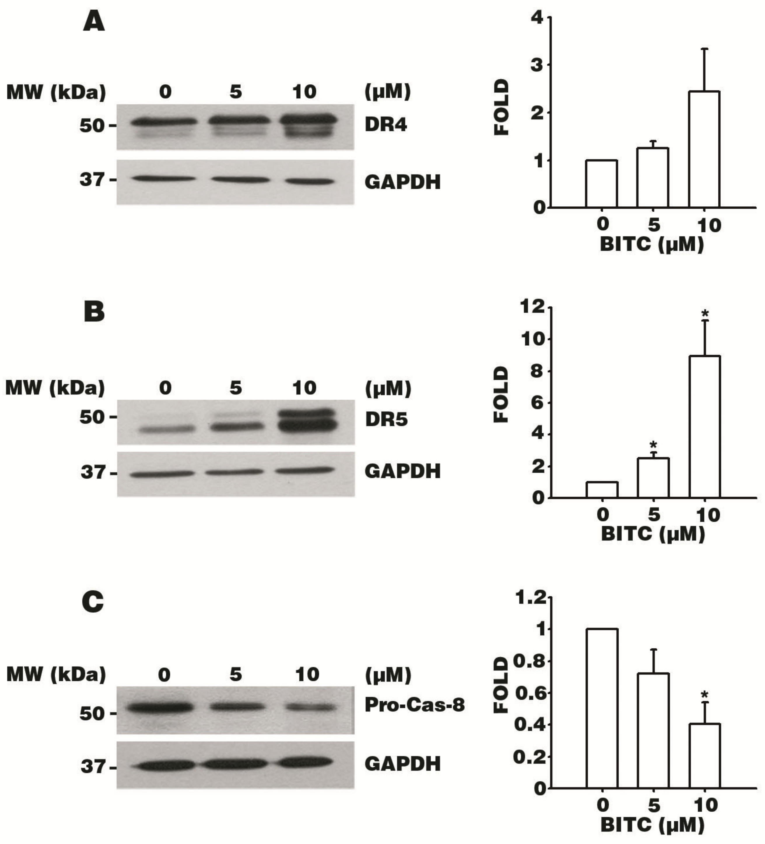 Biomolecules 09 00839 g003 Biomolecules 09 00839 g003