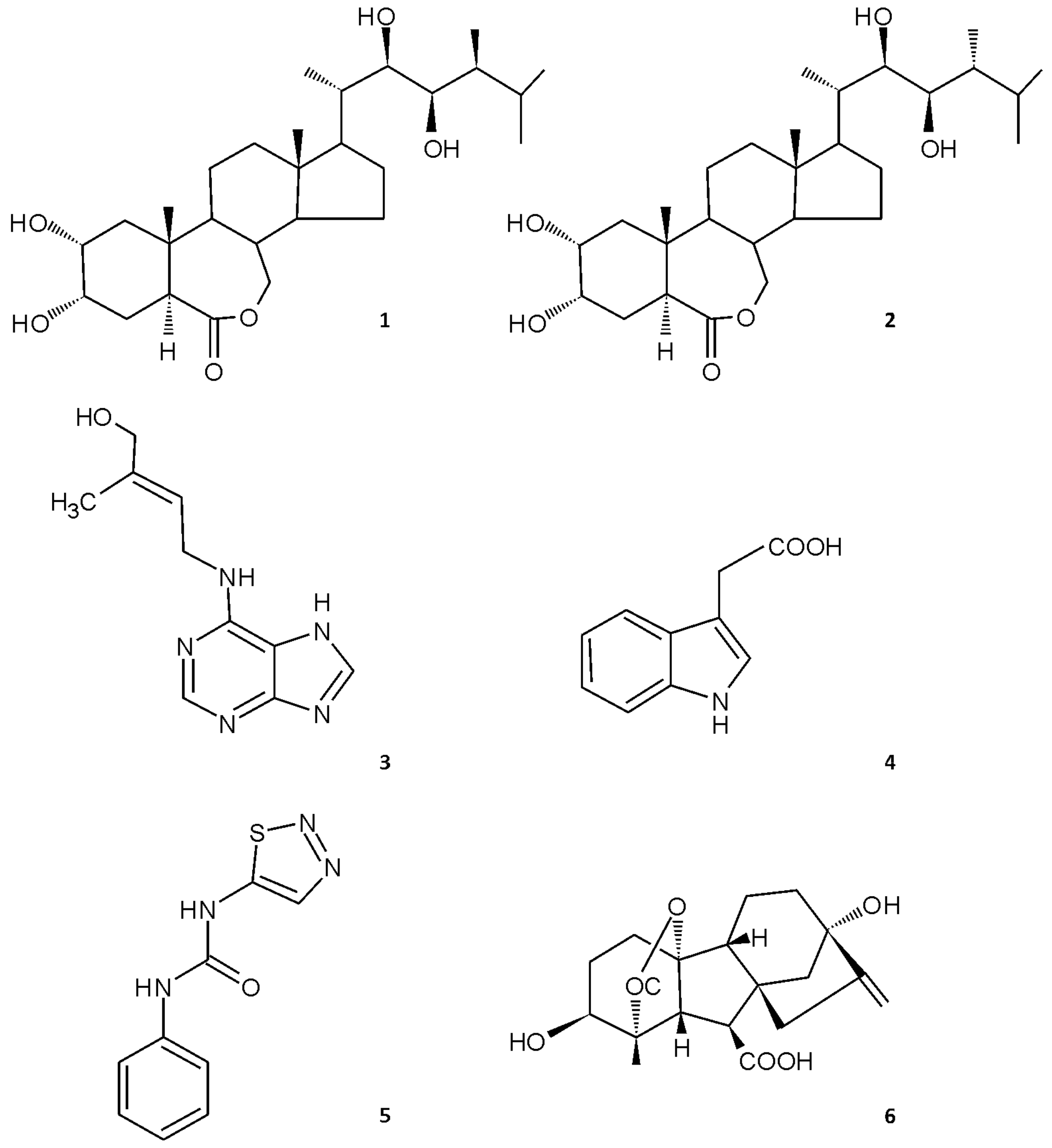 Biomolecules 09 00849 g002 Biomolecules 09 00849 g002