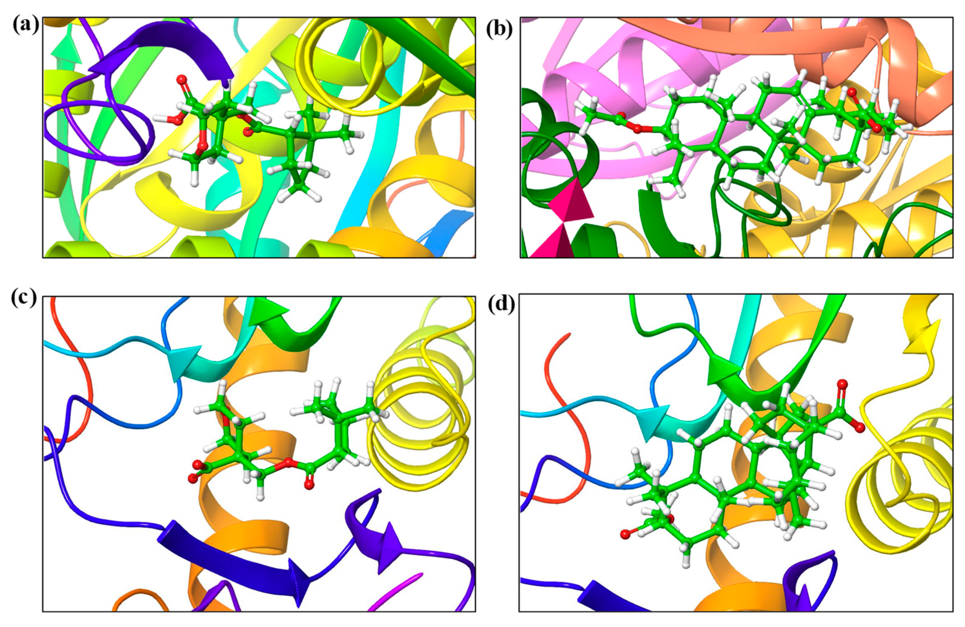 Biomolecules Free Full Text Evaluating Iso Mukaadial Acetate And Ursolic Acid Acetate As Plasmodium Falciparum Hypoxanthine Guanine Xanthine Phosphoribosyltransferase Inhibitors Html