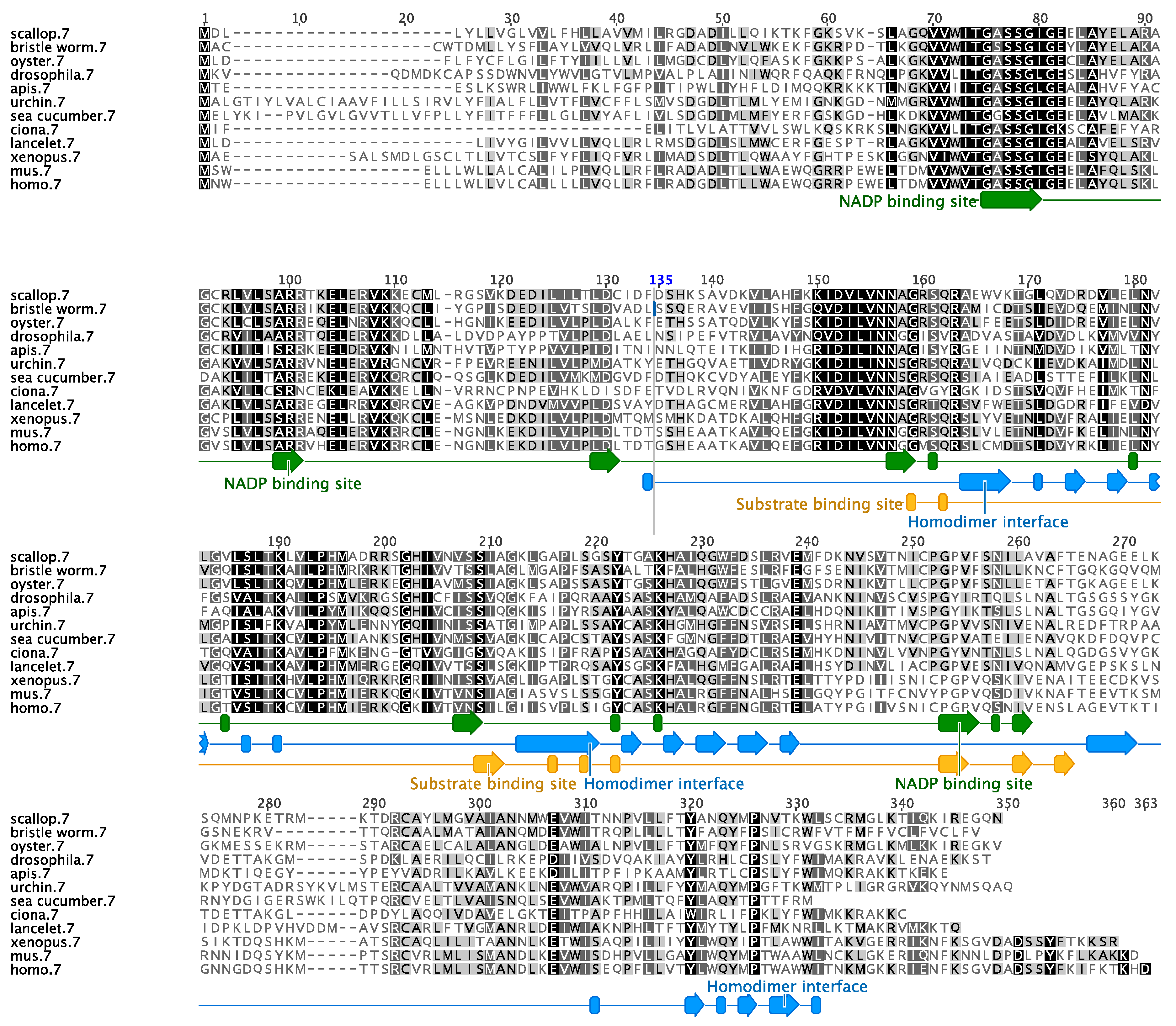 Biomolecules 09 00873 g002