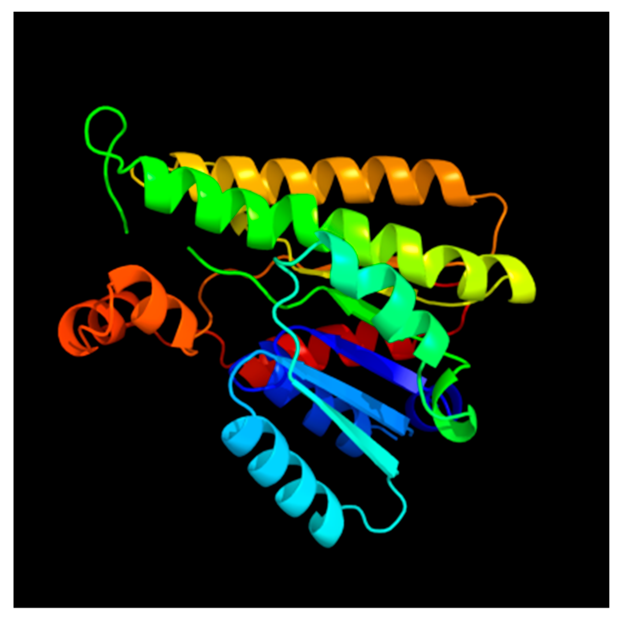 Biomolecules 09 00873 g003