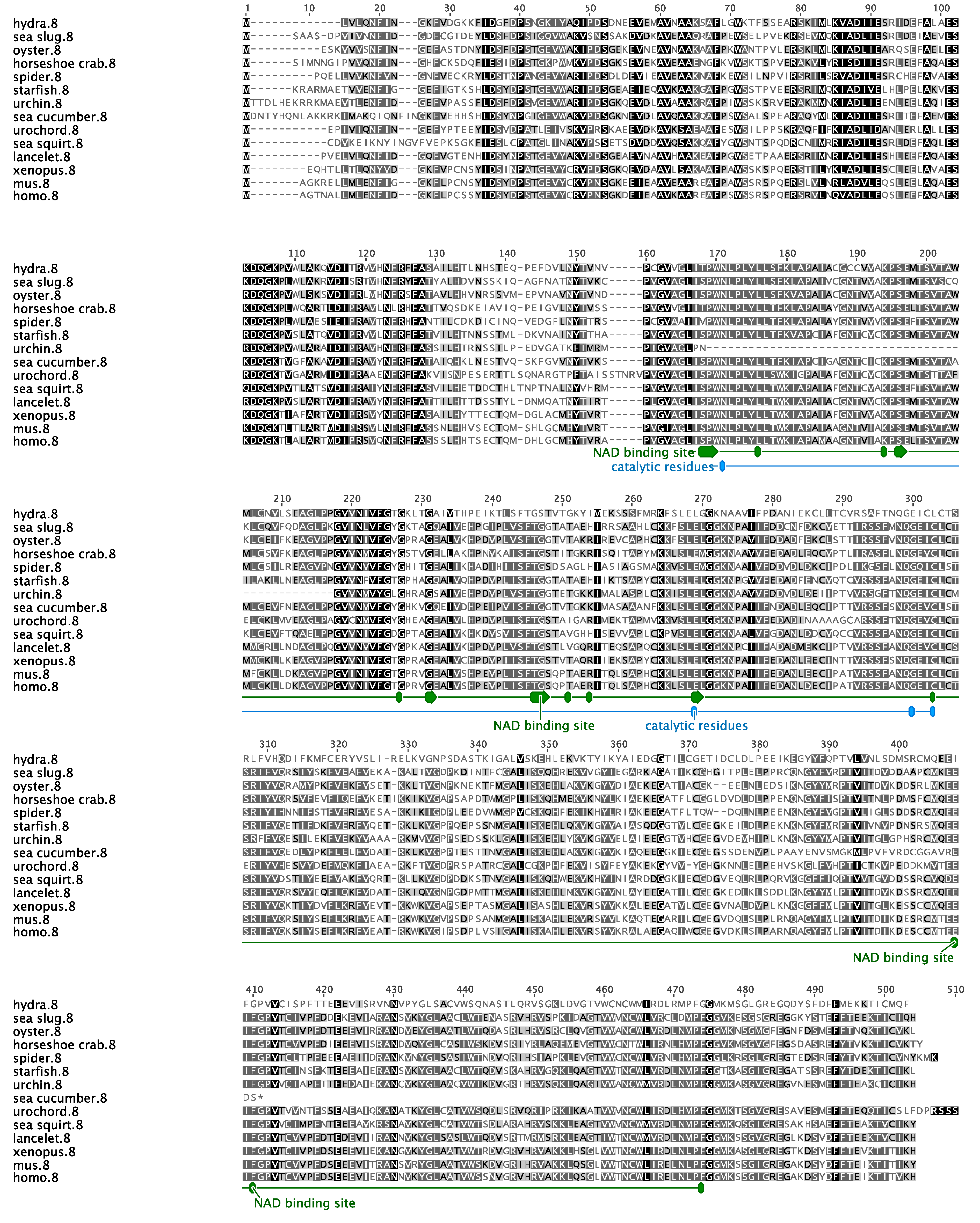 Biomolecules 09 00873 g005