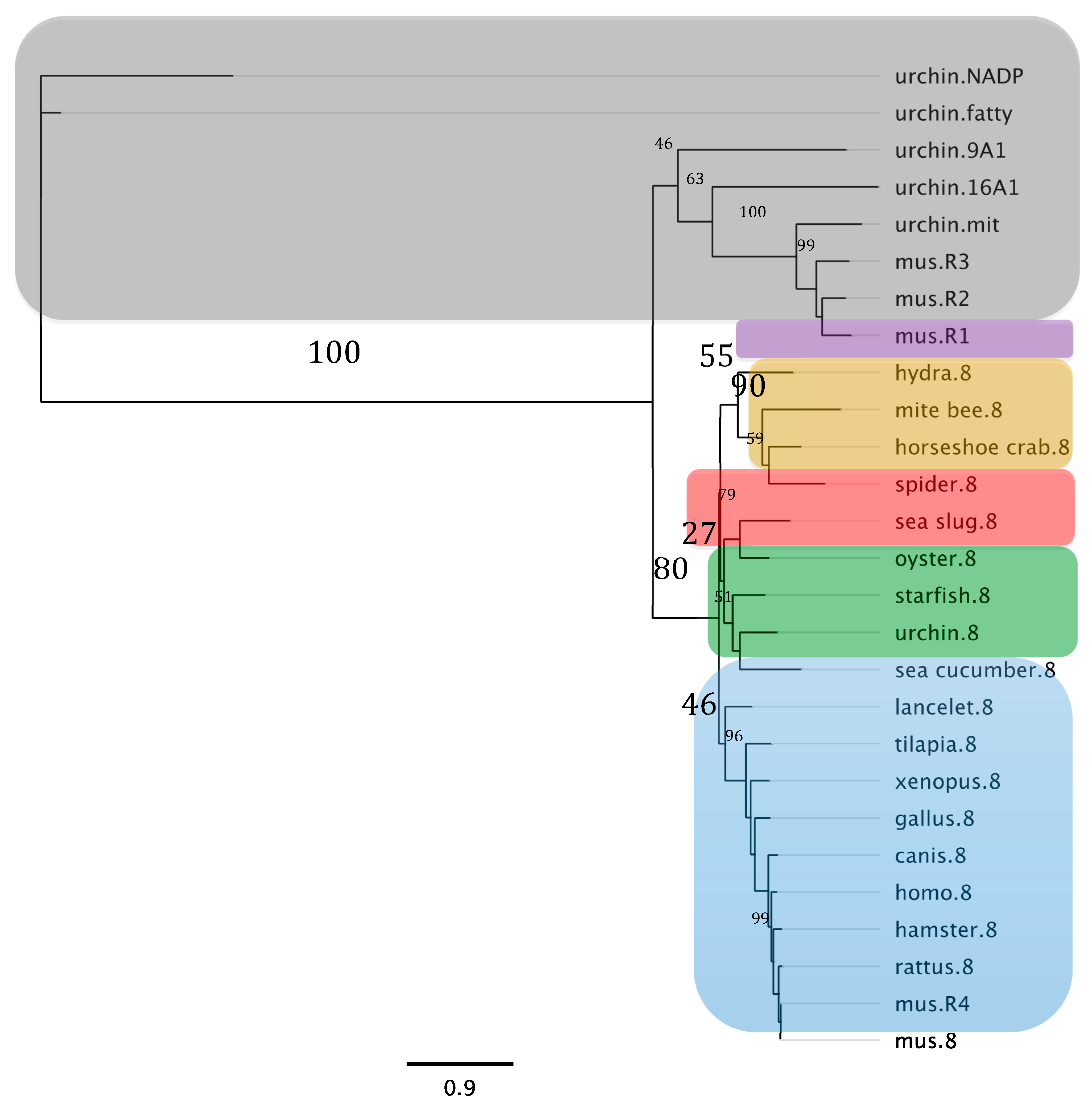Biomolecules 09 00873 g007