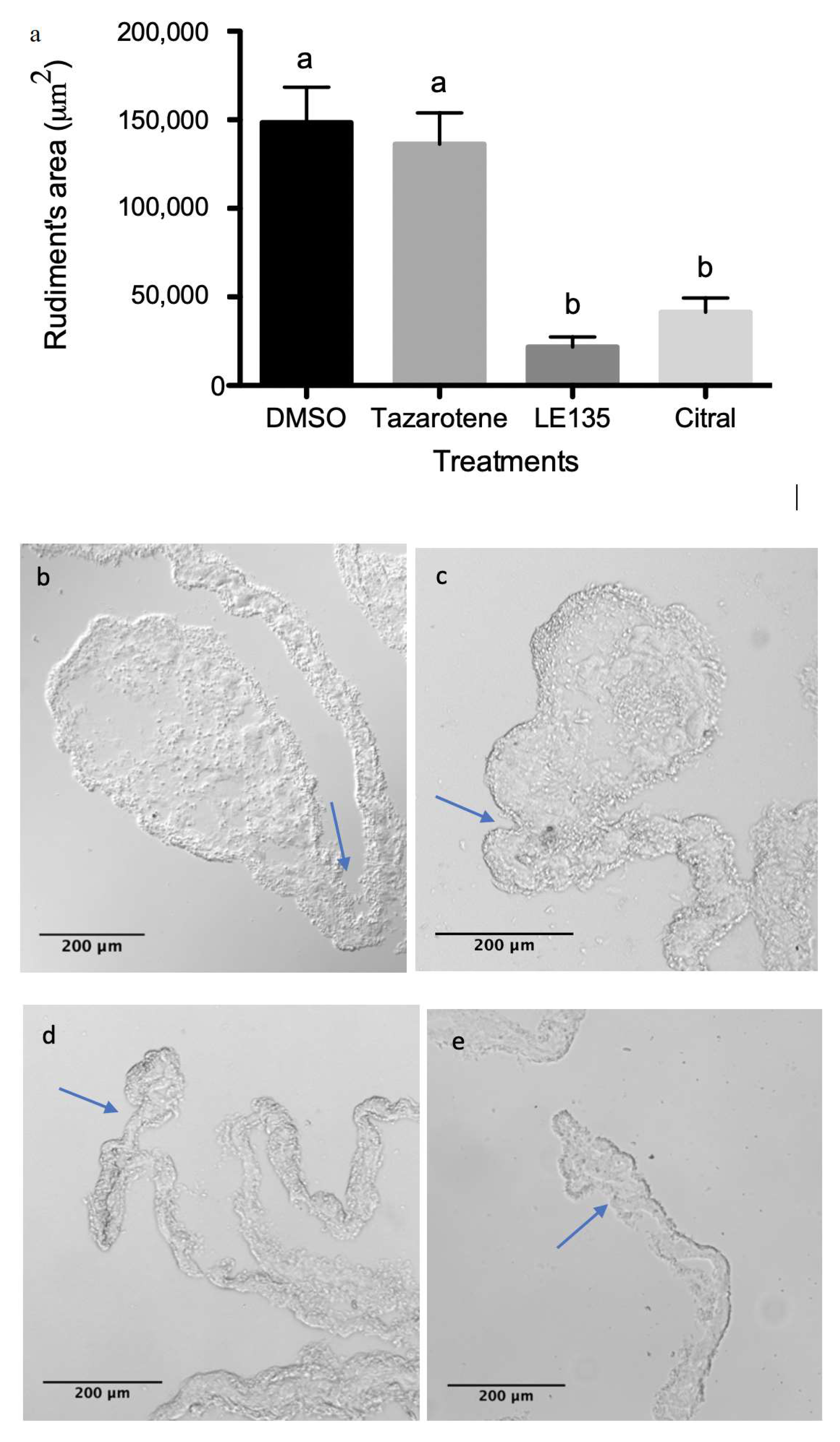 Biomolecules 09 00873 g010