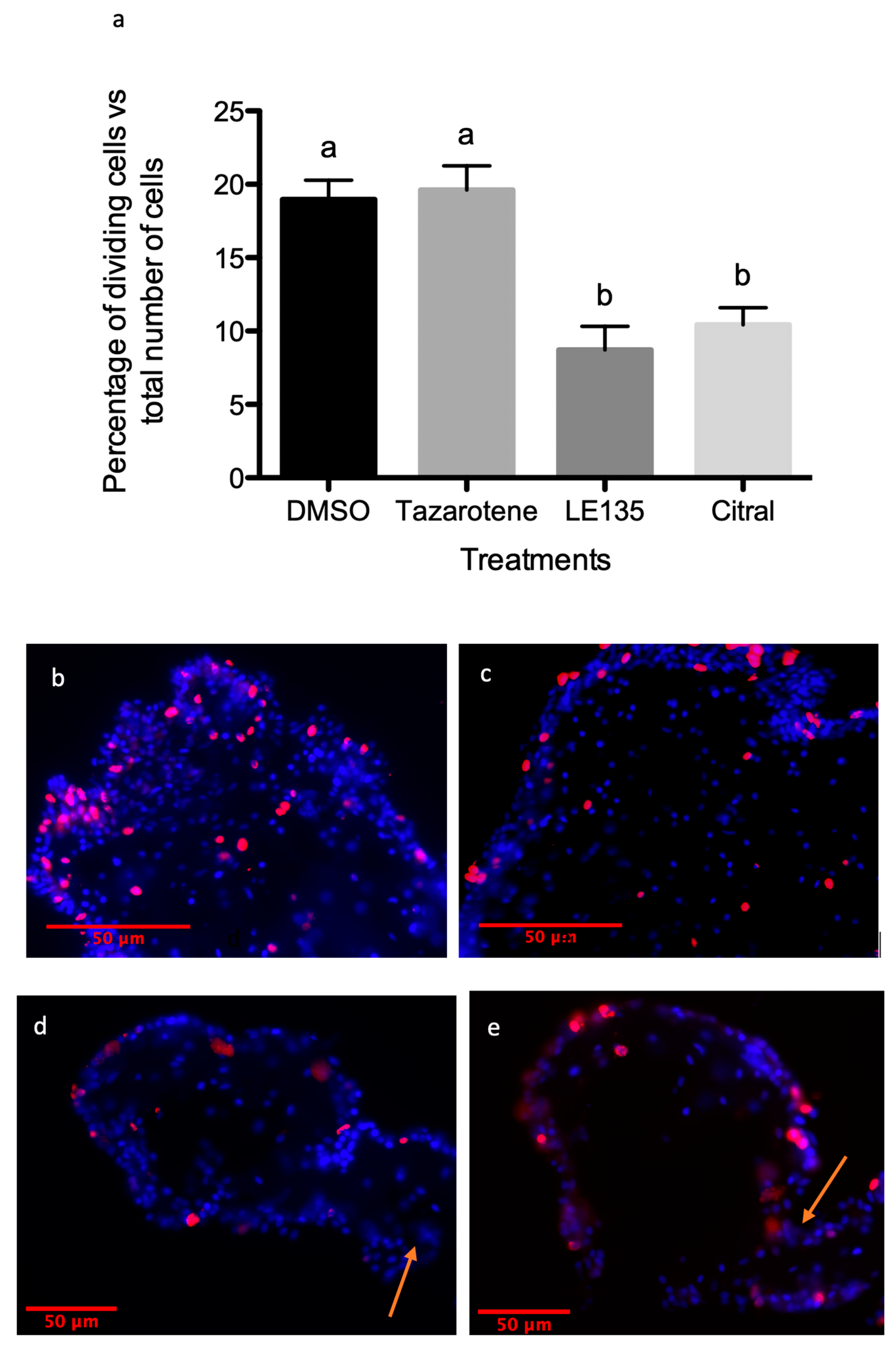 Biomolecules 09 00873 g011