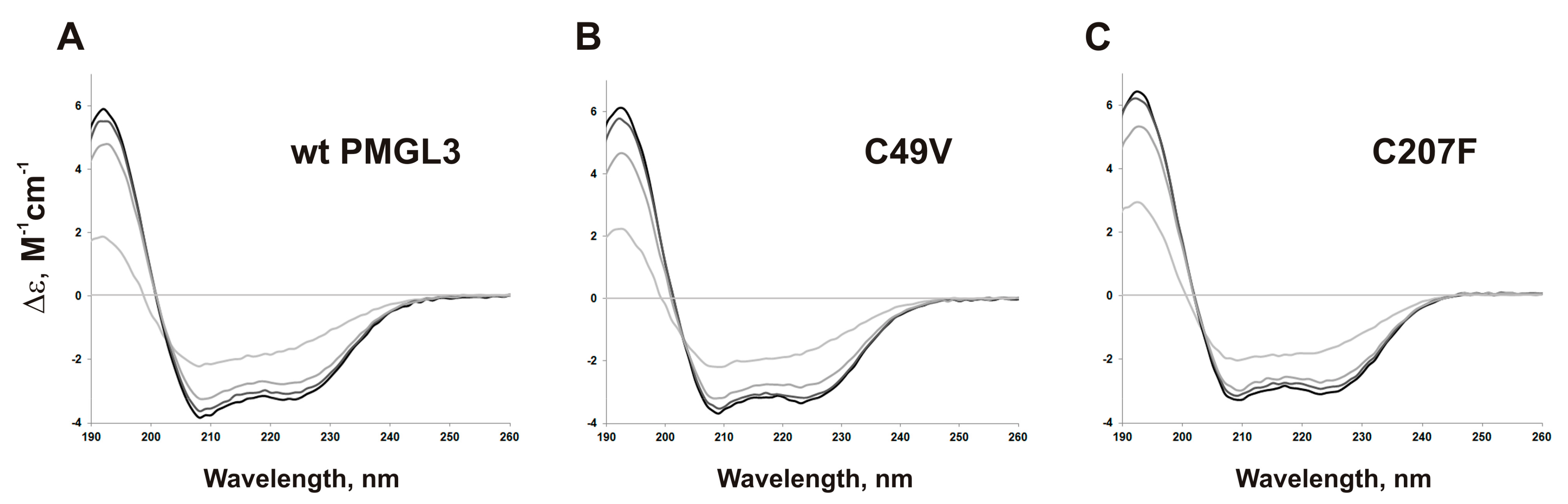 Biomolecules 09 00880 g004 Biomolecules 09 00880 g004