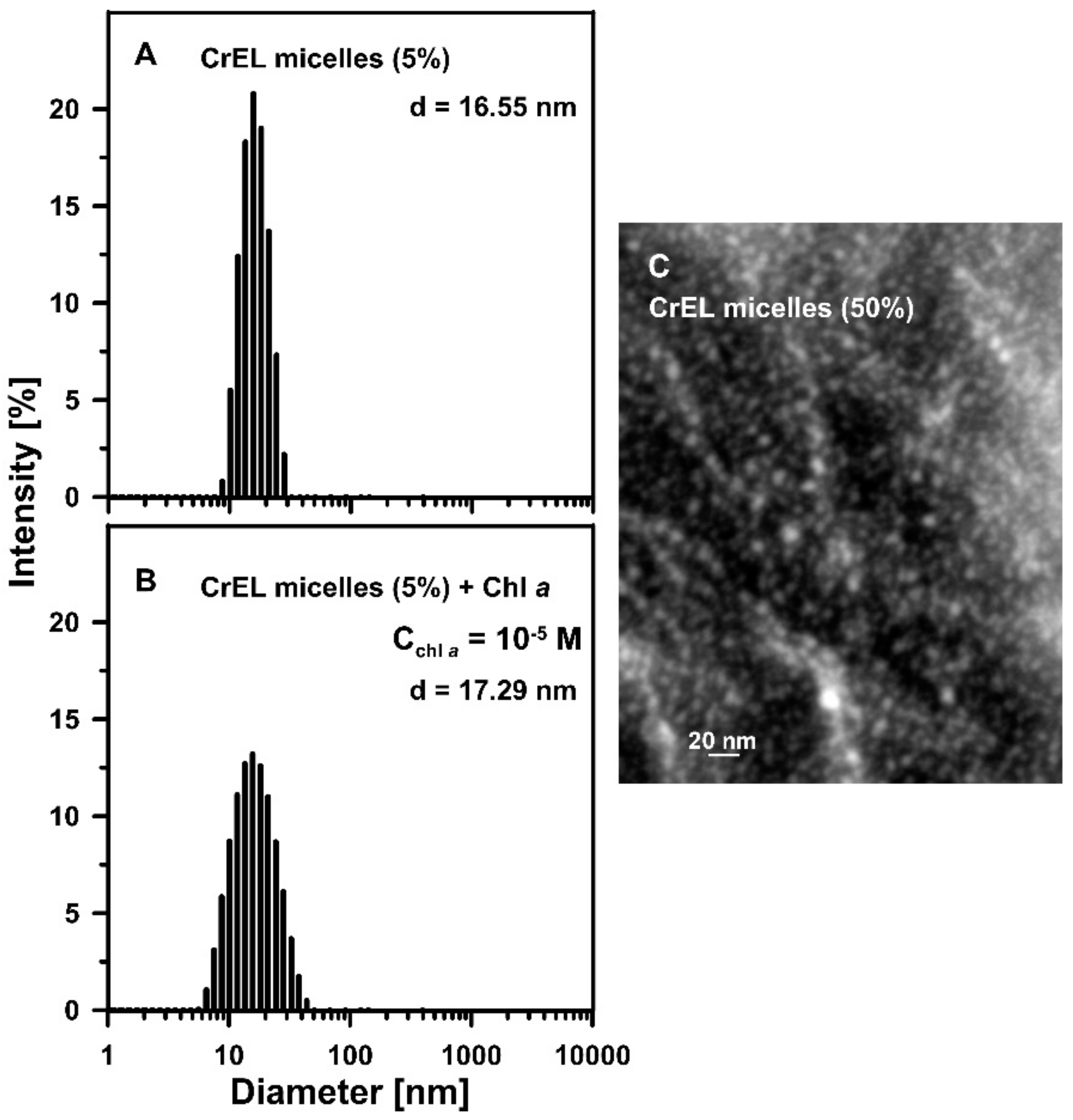 Biomolecules 09 00881 g003 Biomolecules 09 00881 g003