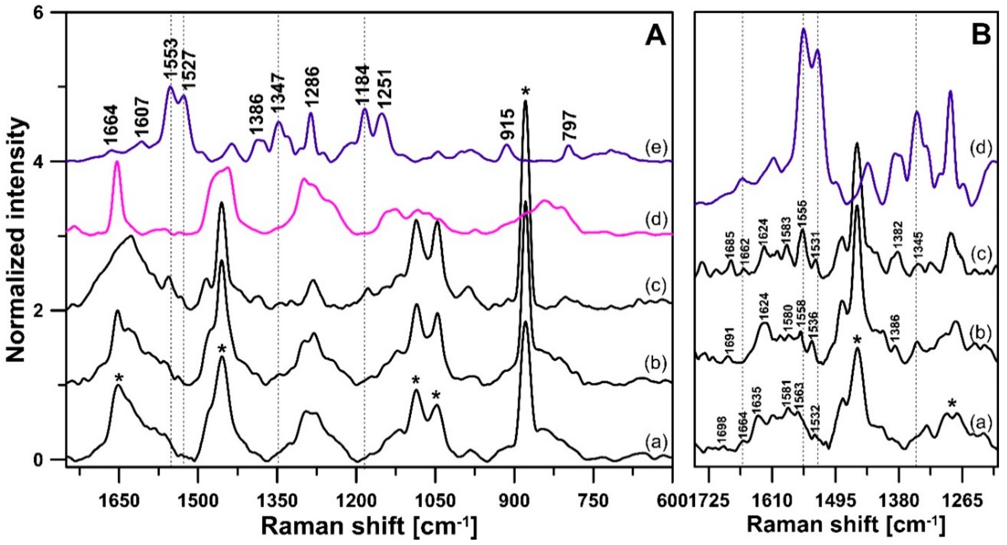Biomolecules 09 00881 g007 Biomolecules 09 00881 g007