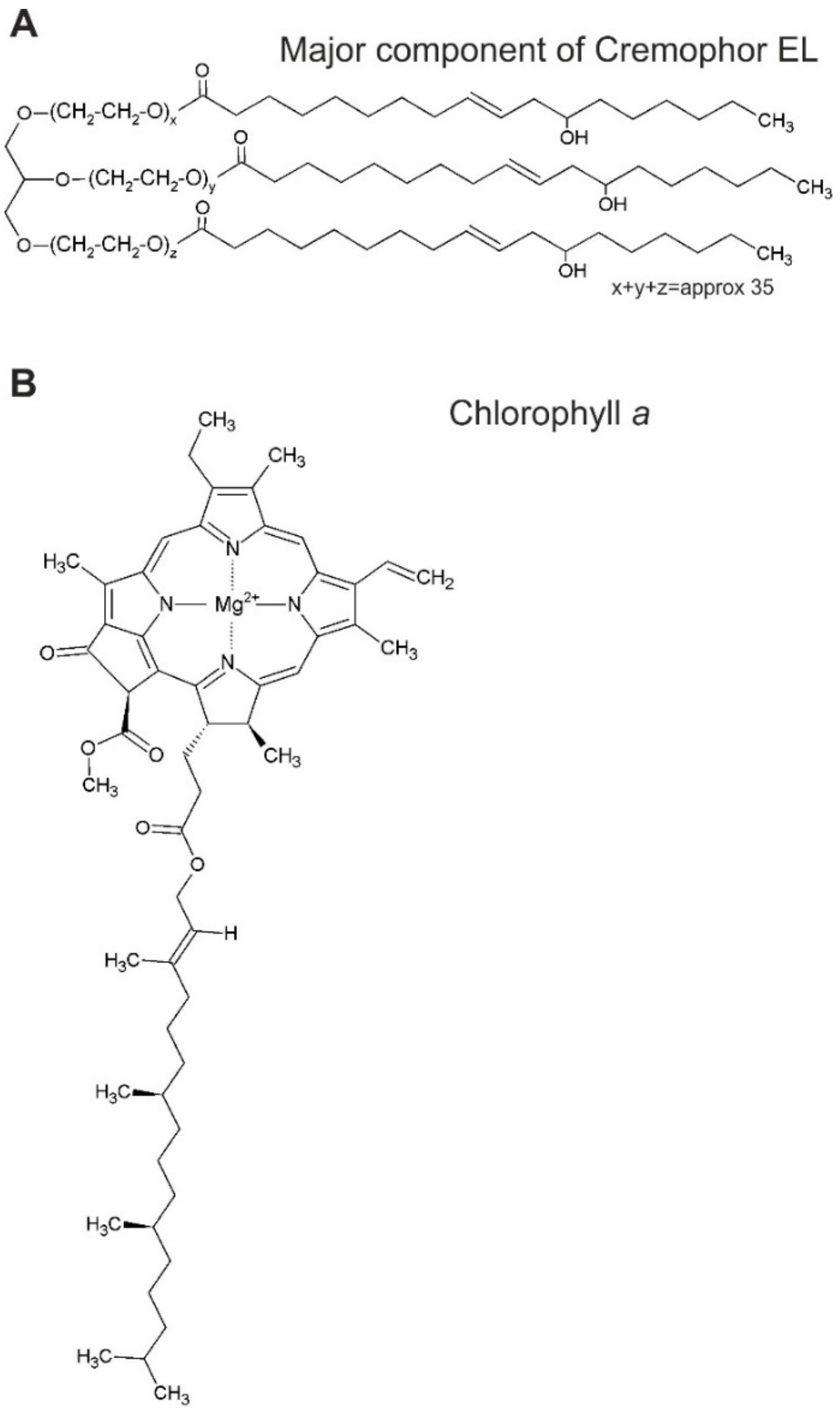 Biomolecules 09 00881 sch001 Biomolecules 09 00881 sch001