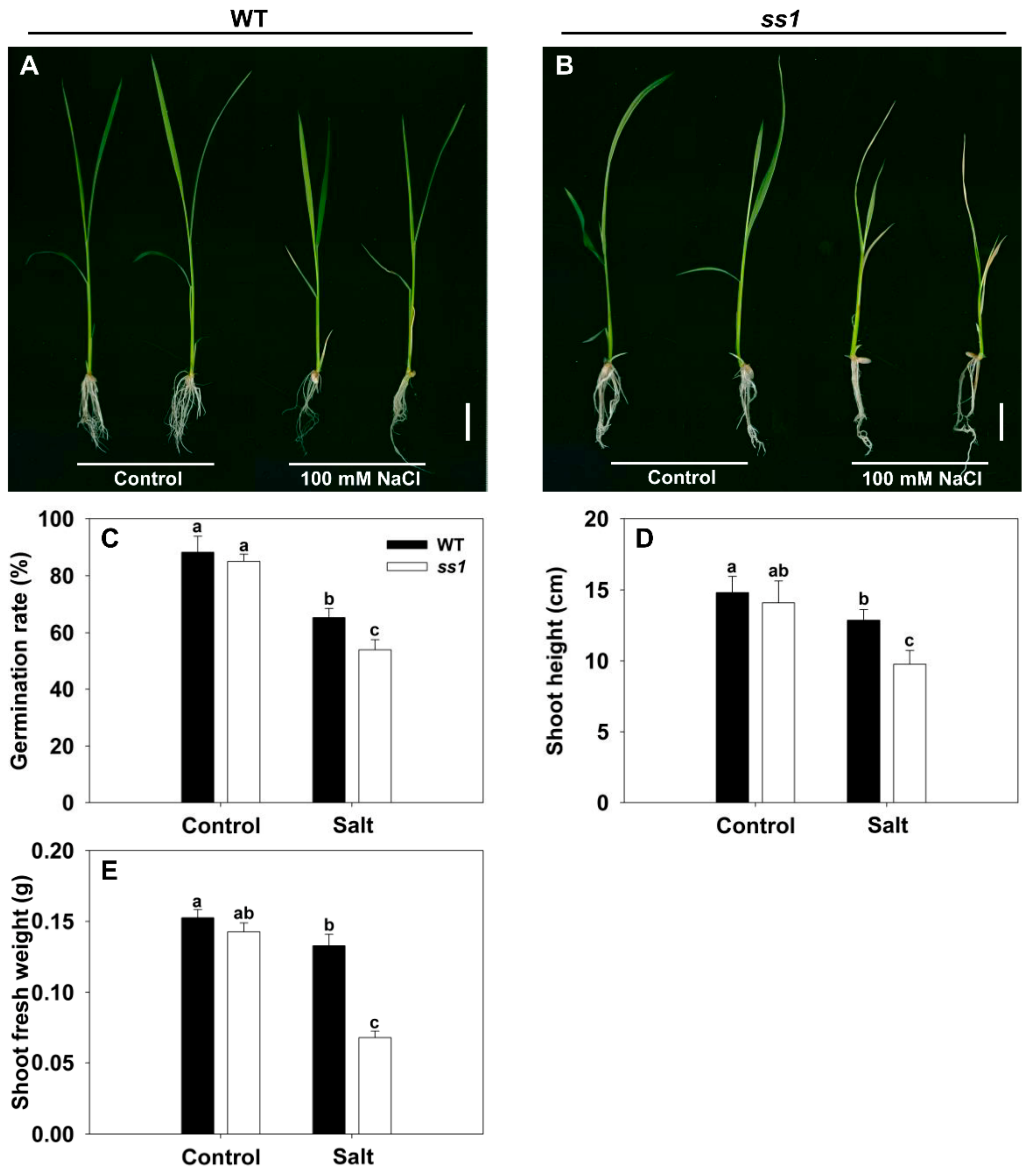 Biomolecules 10 00017 g001 Biomolecules 10 00017 g001