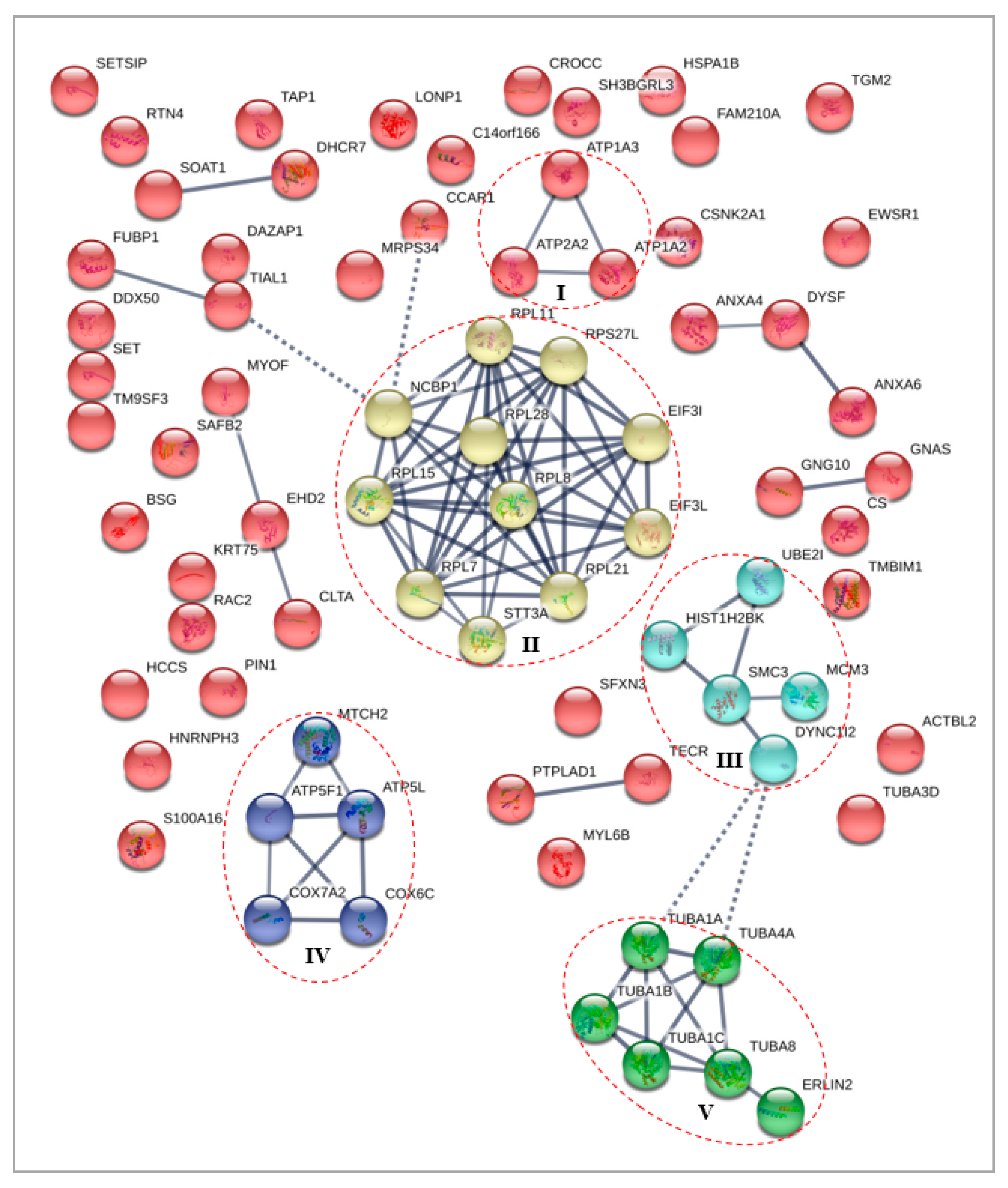 Biomolecules 10 00019 g004 Biomolecules 10 00019 g004