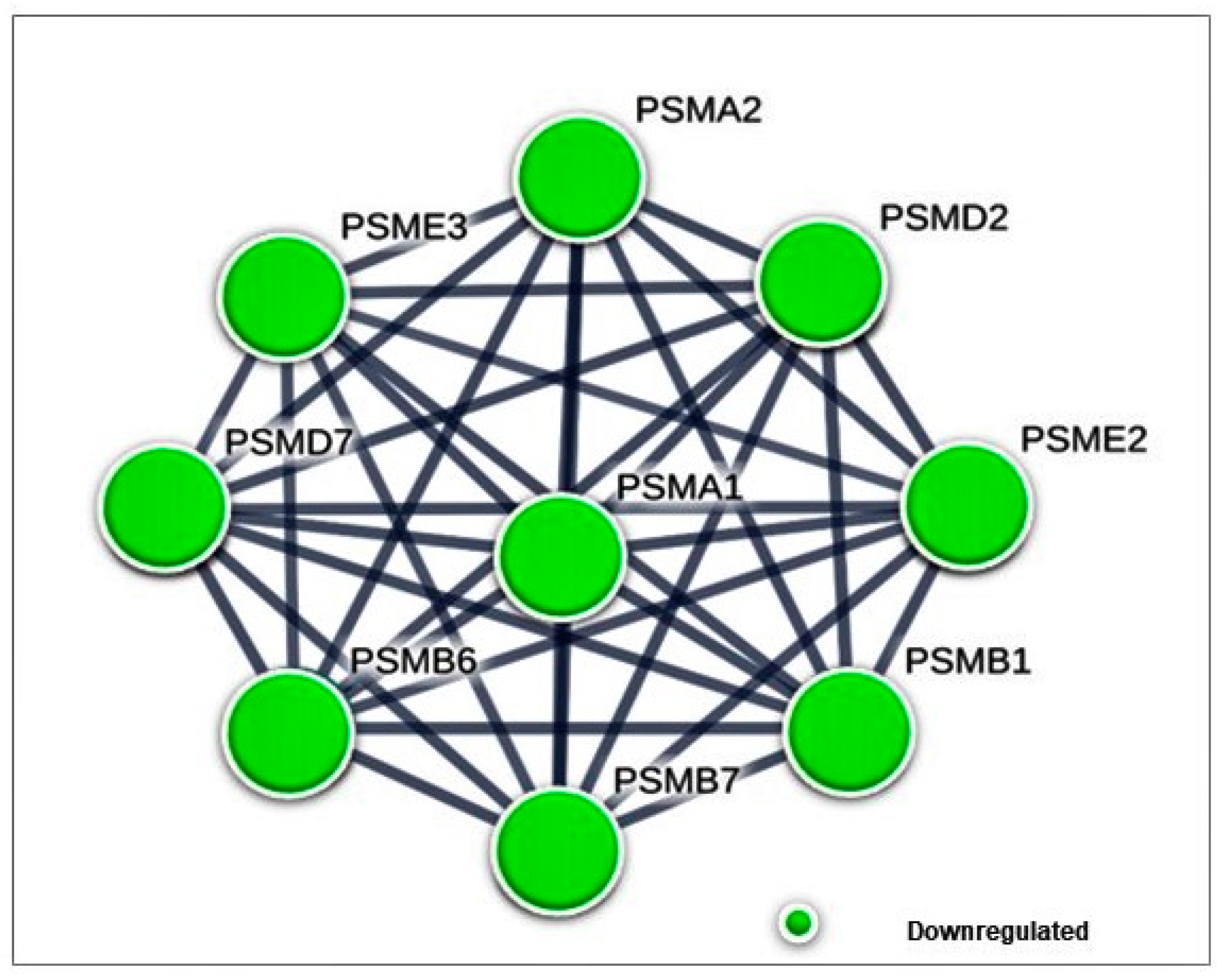 Biomolecules 10 00019 g005 Biomolecules 10 00019 g005
